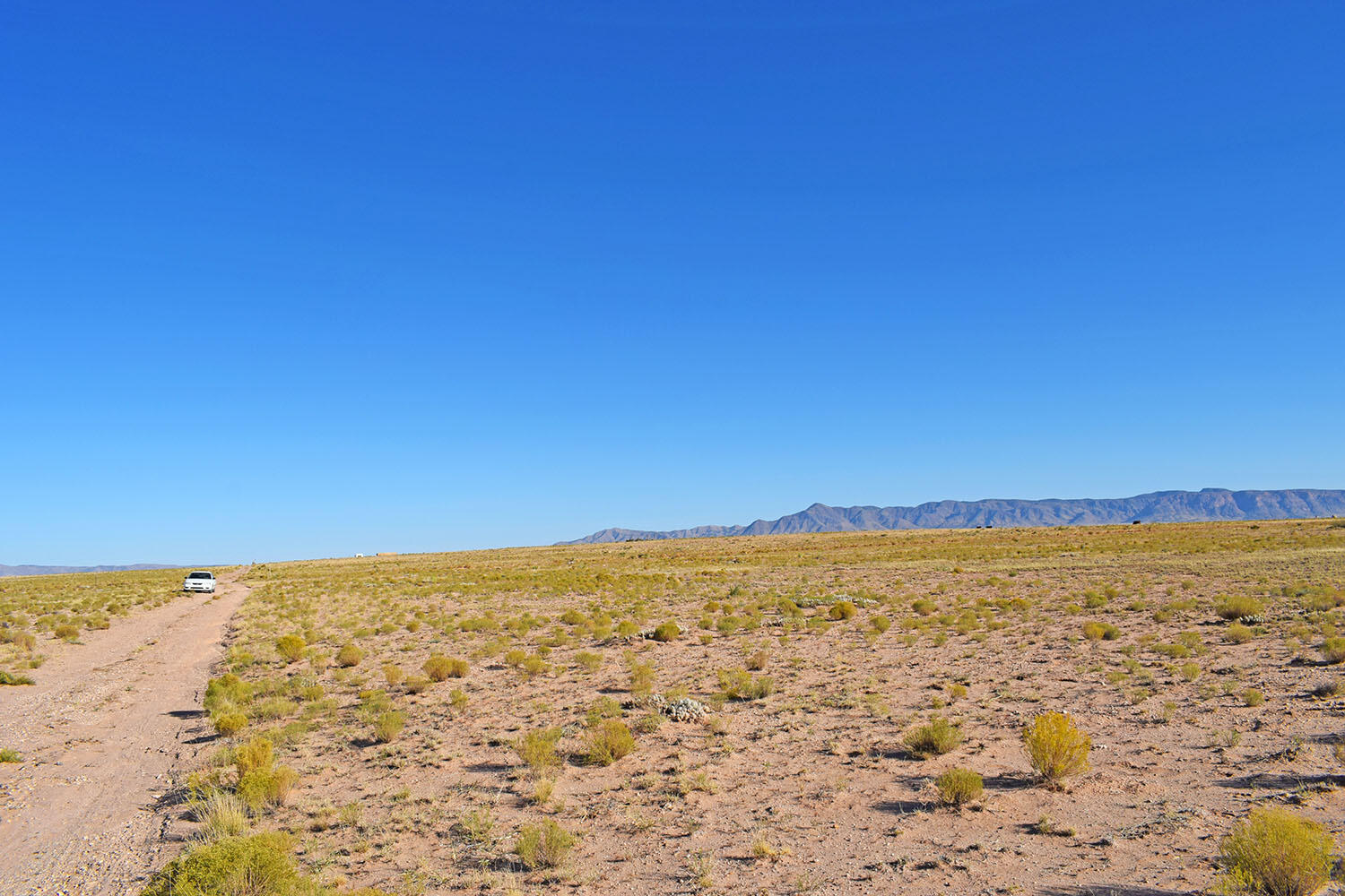 Lot 14 Trevino Avenue