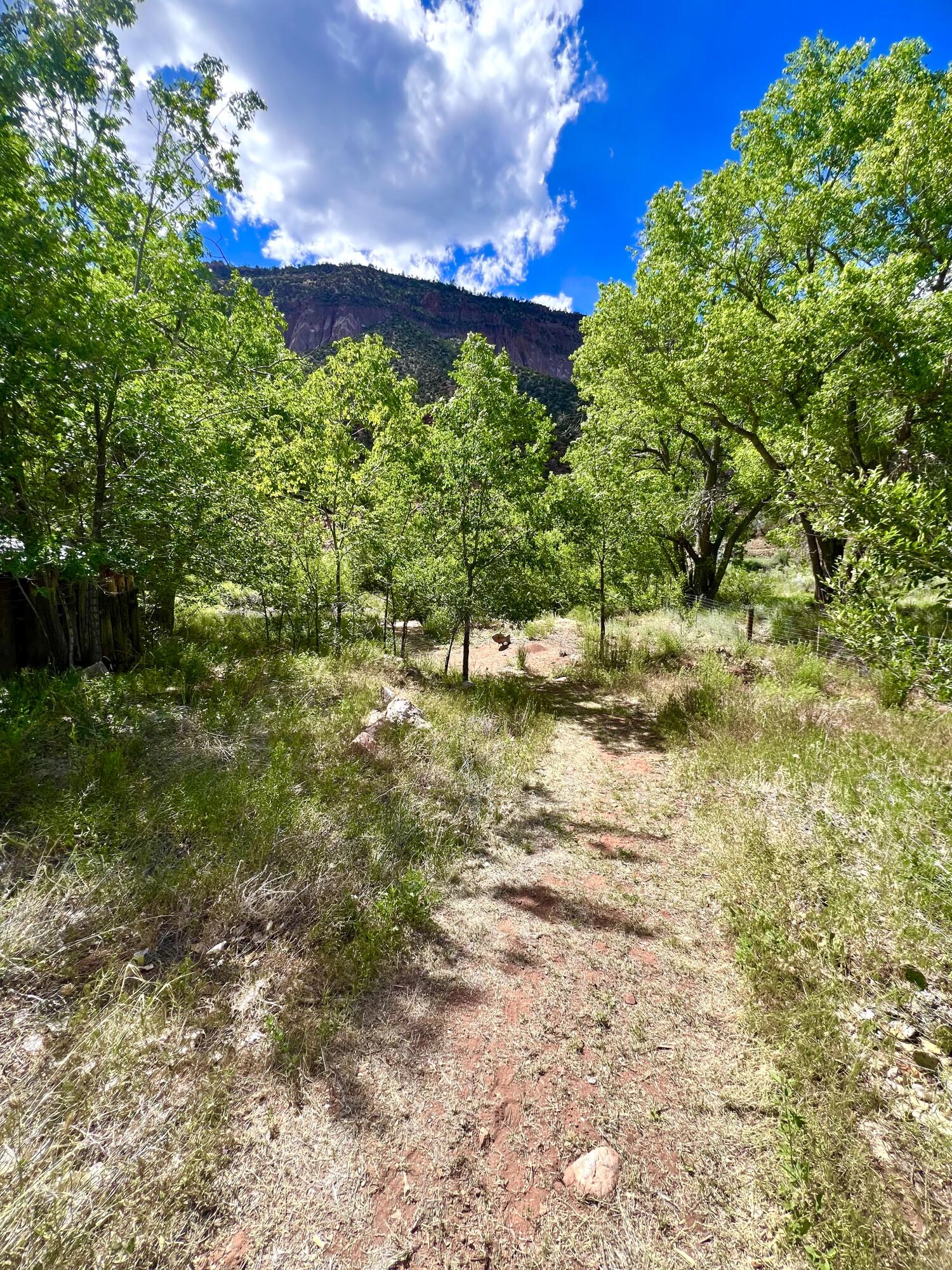 16443 Highway 4