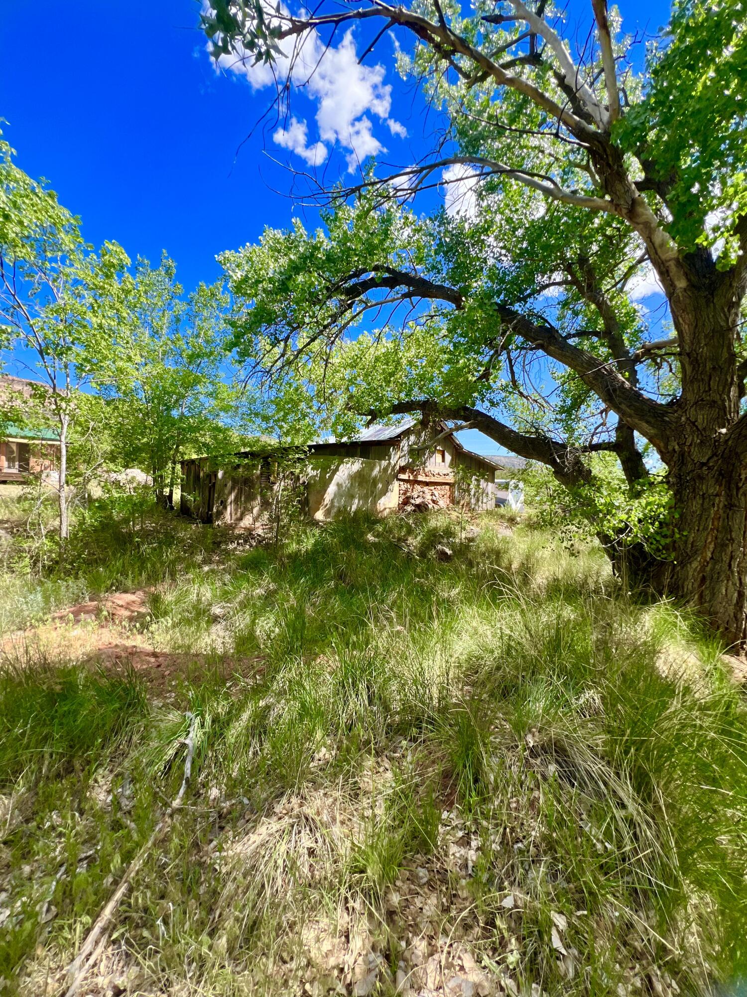 16443 Highway 4