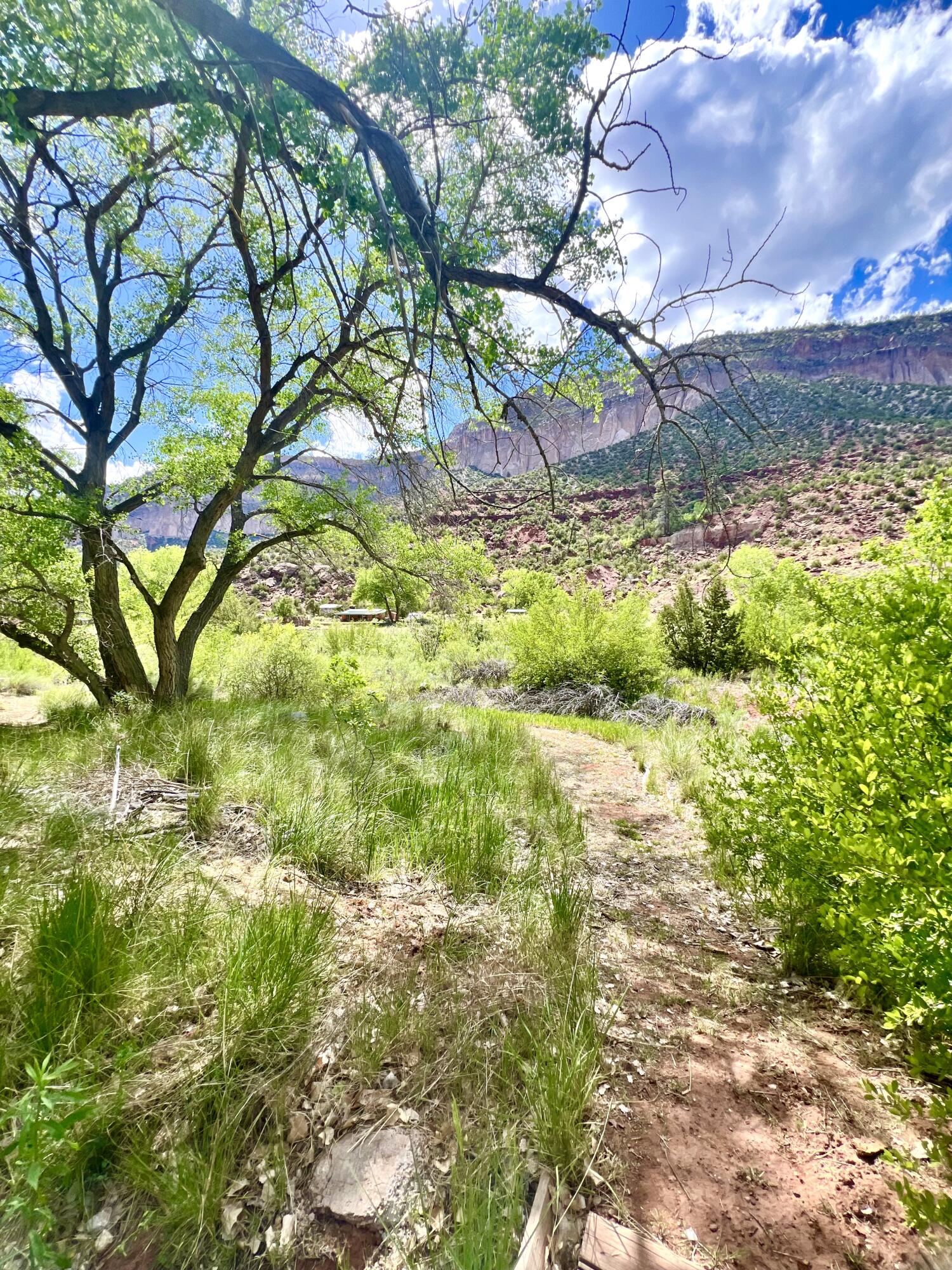 16443 Highway 4