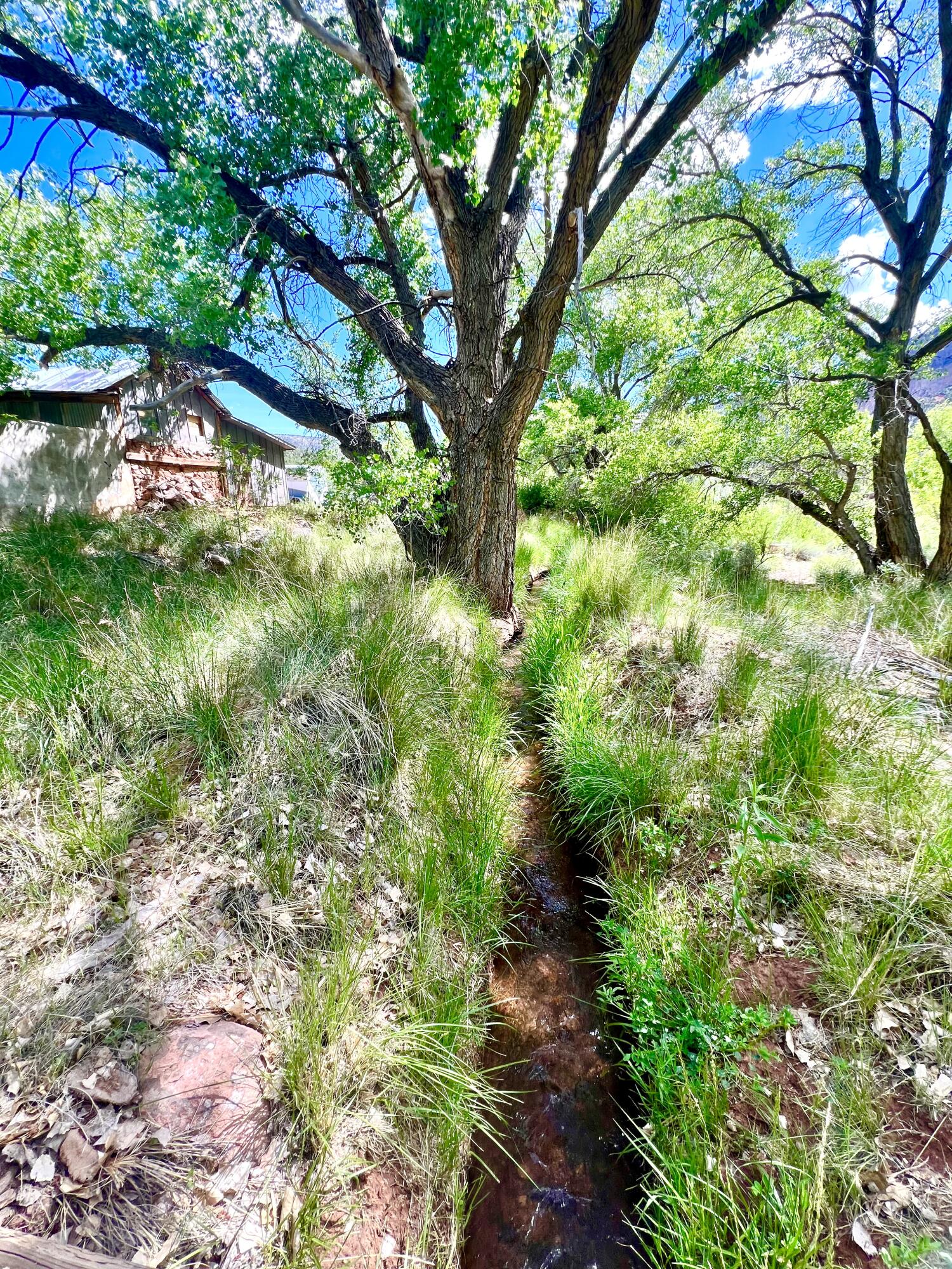 16443 Highway 4