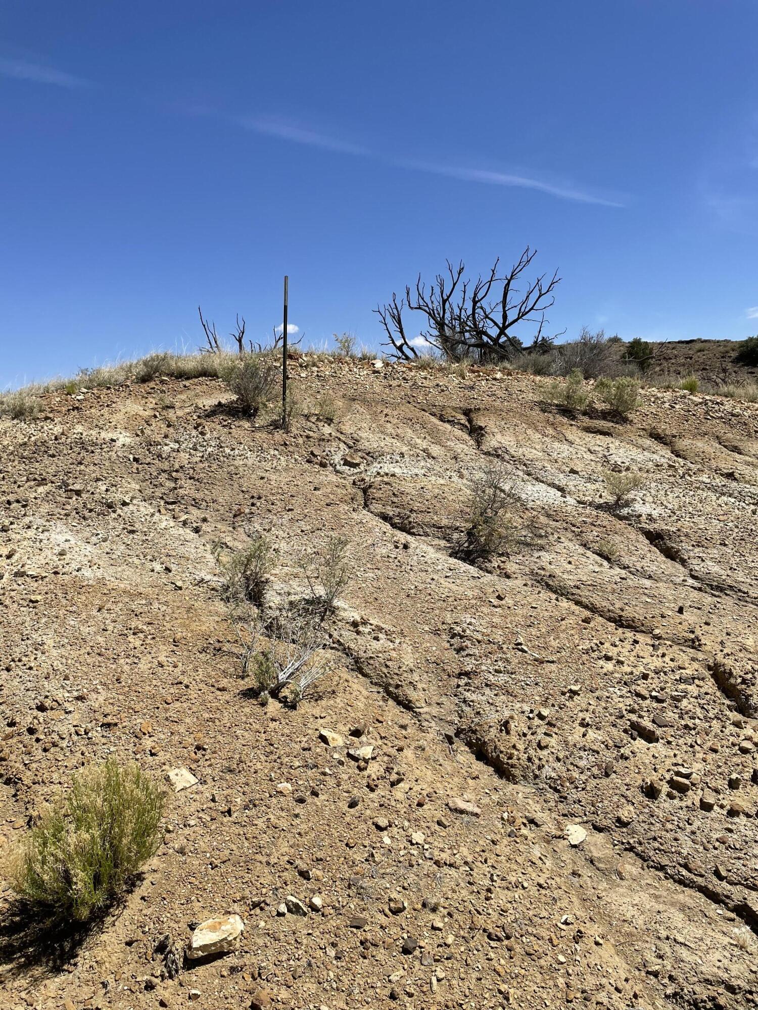 Parcel 20 Santa Rita Ranches