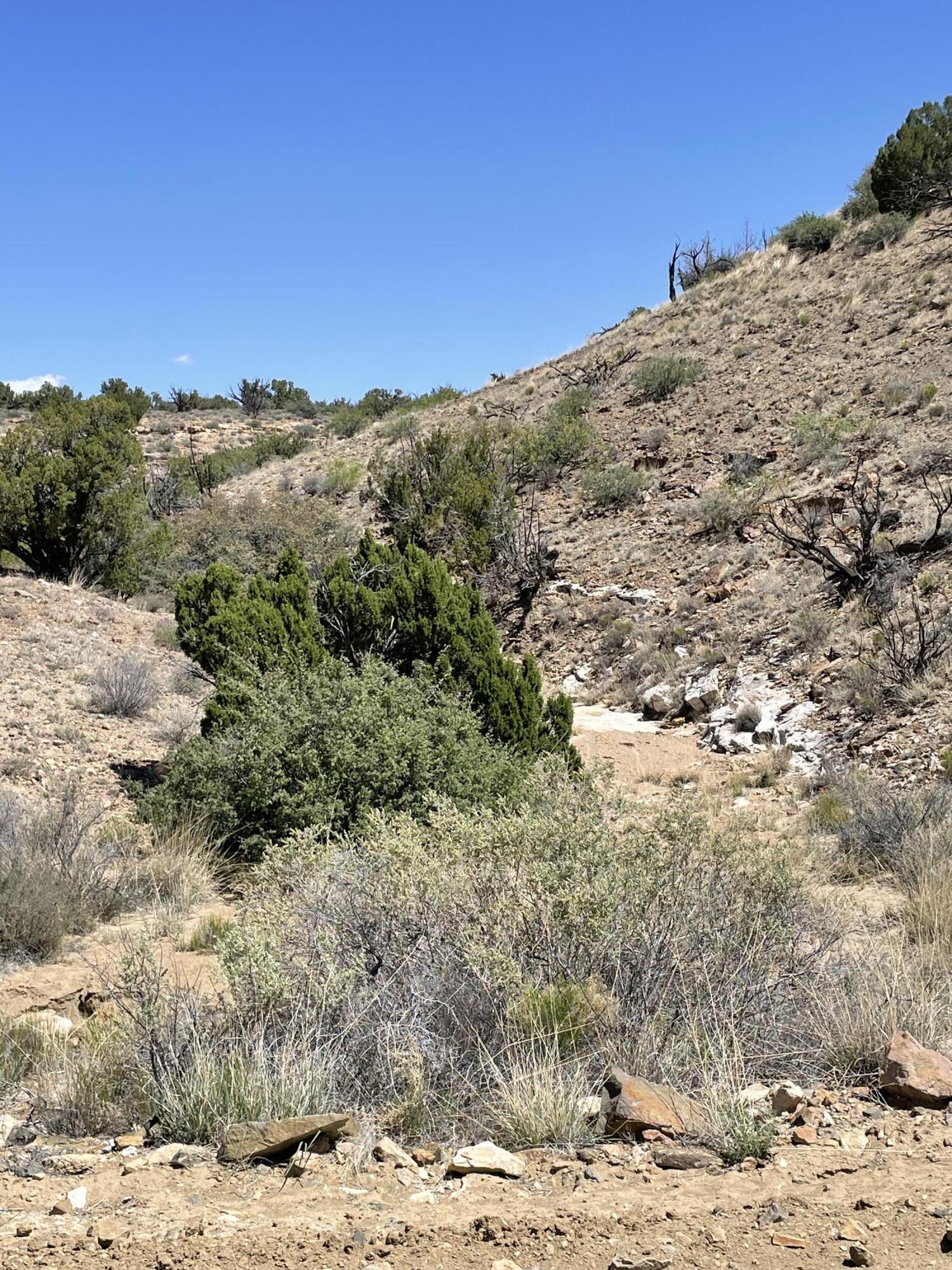 Parcel 20 Santa Rita Ranches
