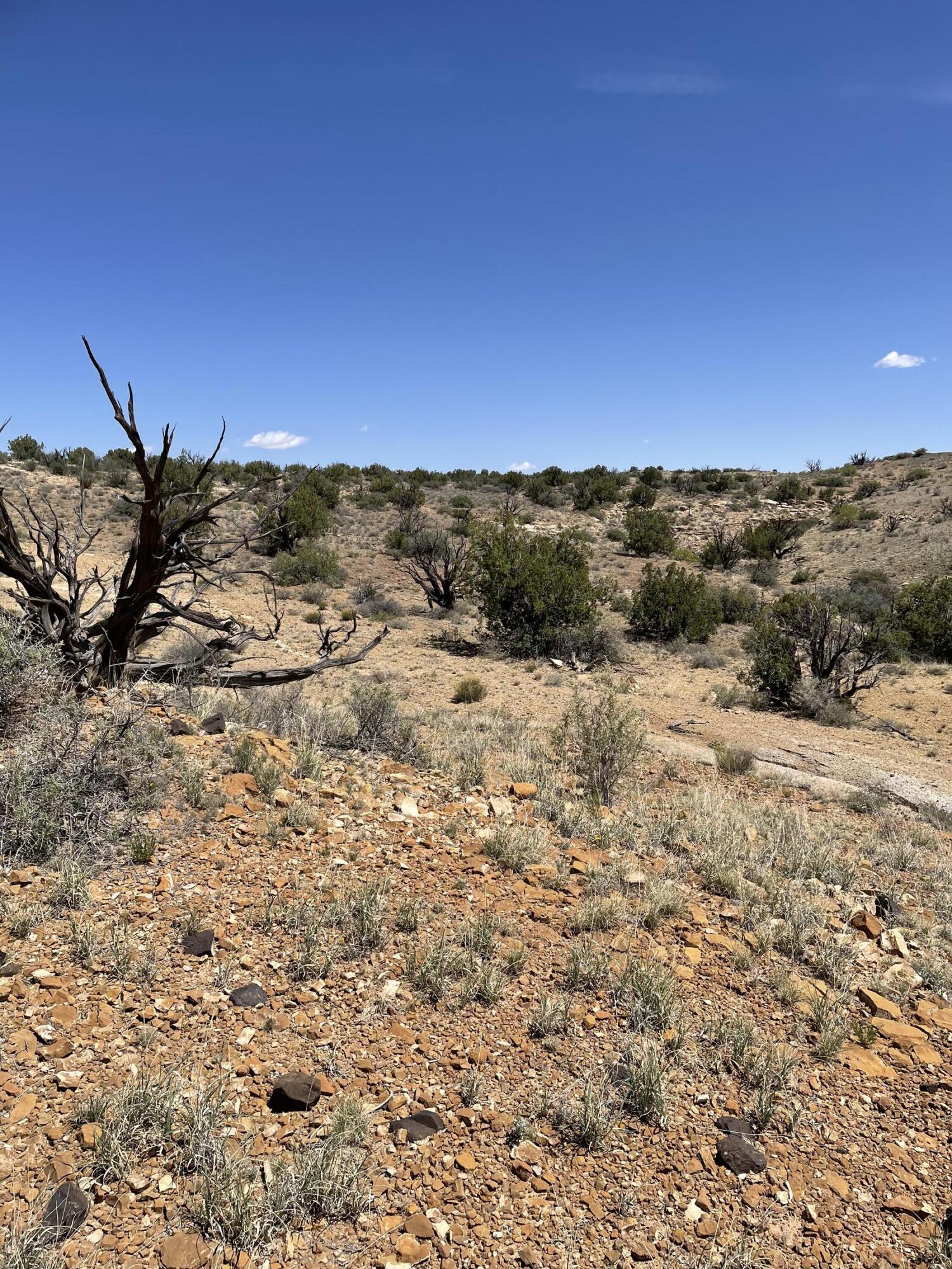 Parcel 20 Santa Rita Ranches