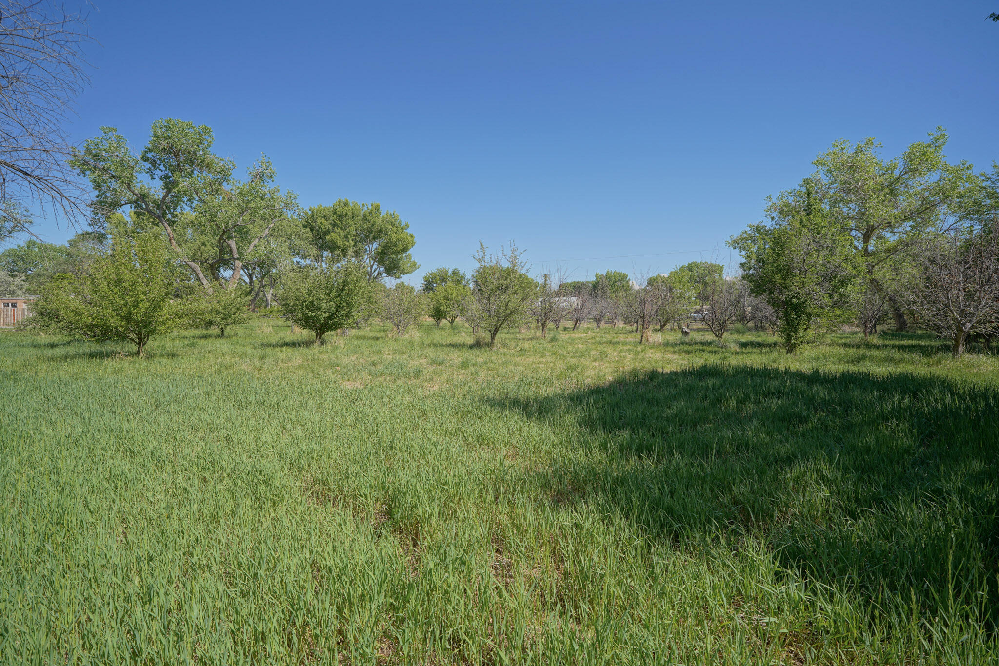 360 E Ella Drive