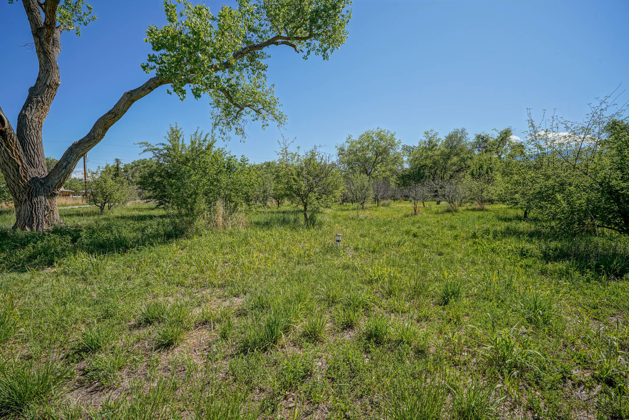 360 E Ella Drive