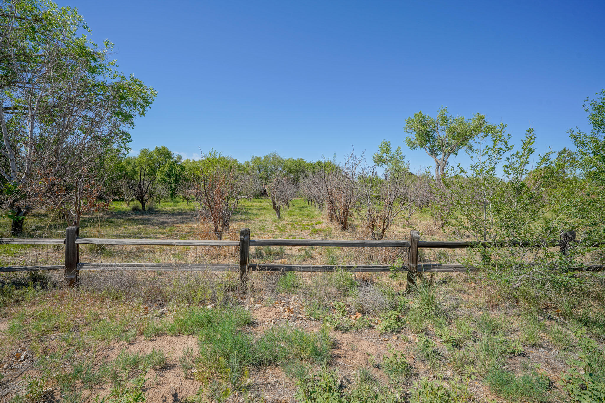 360 E Ella Drive