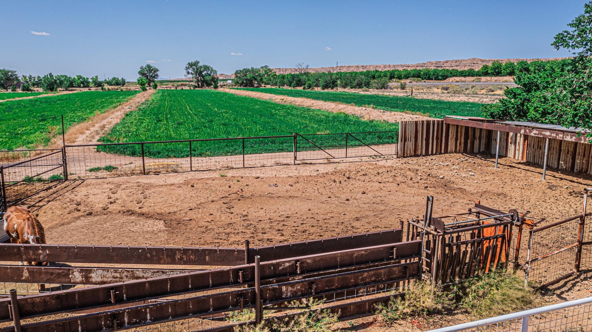 16 Olive Terrace Road