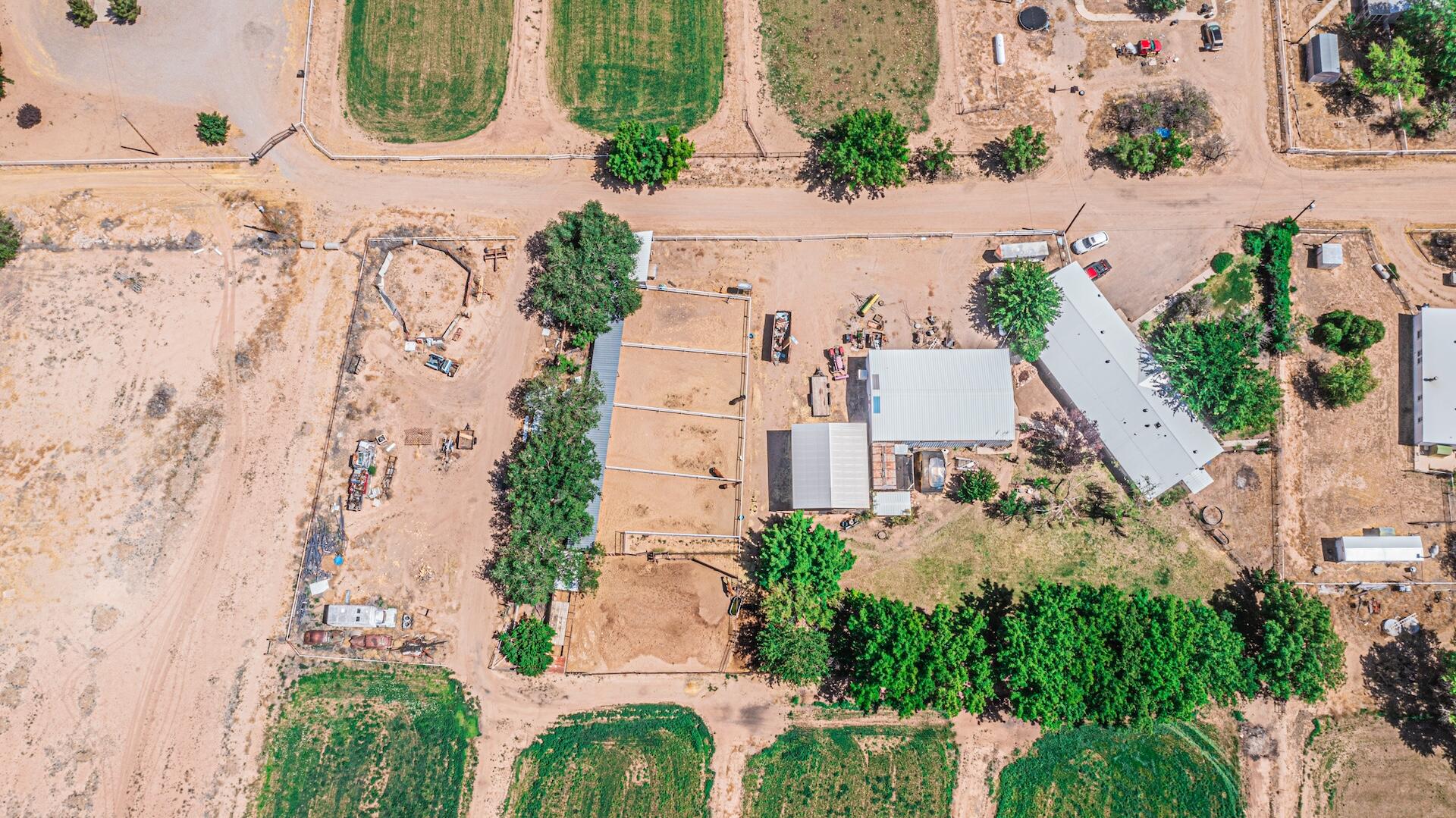 16 Olive Terrace Road