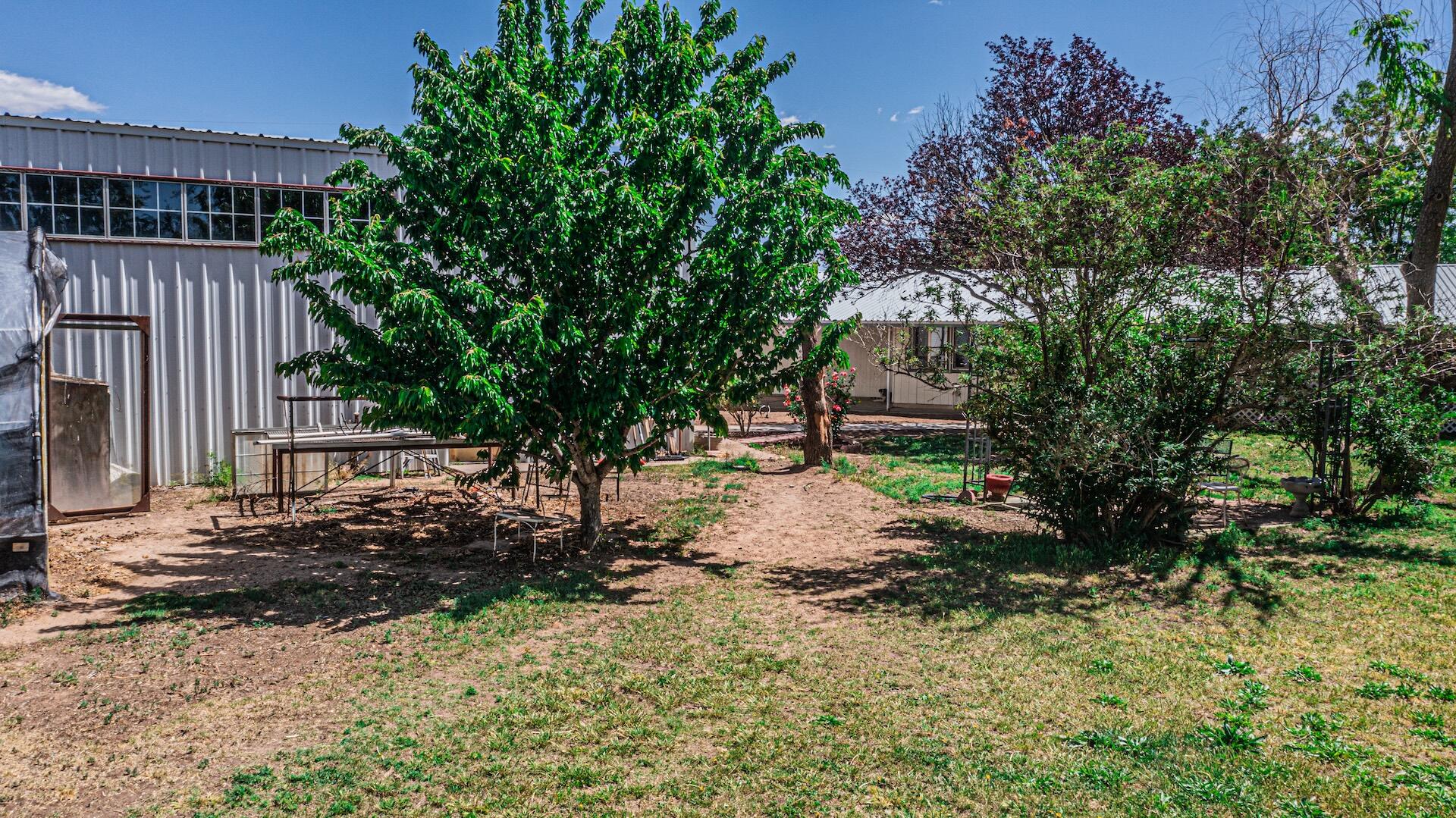 16 Olive Terrace Road