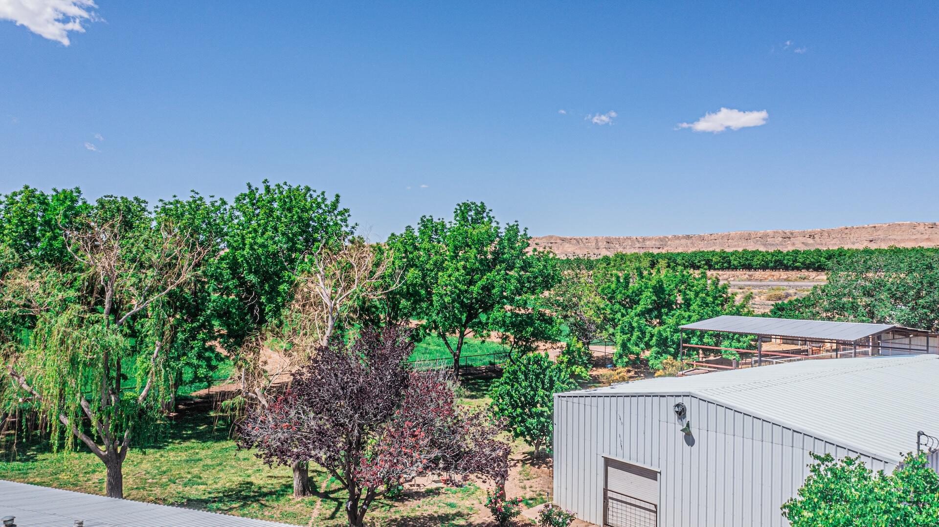 16 Olive Terrace Road