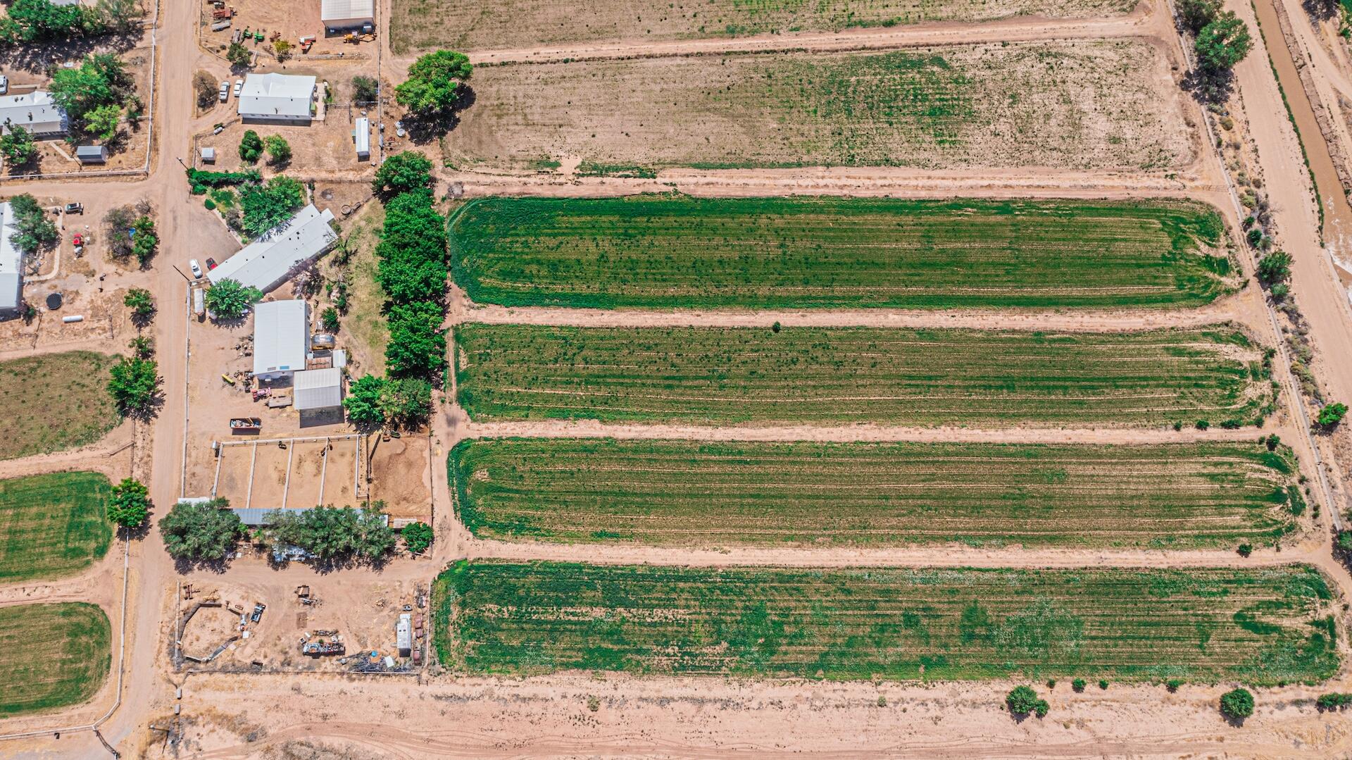 16 Olive Terrace Road