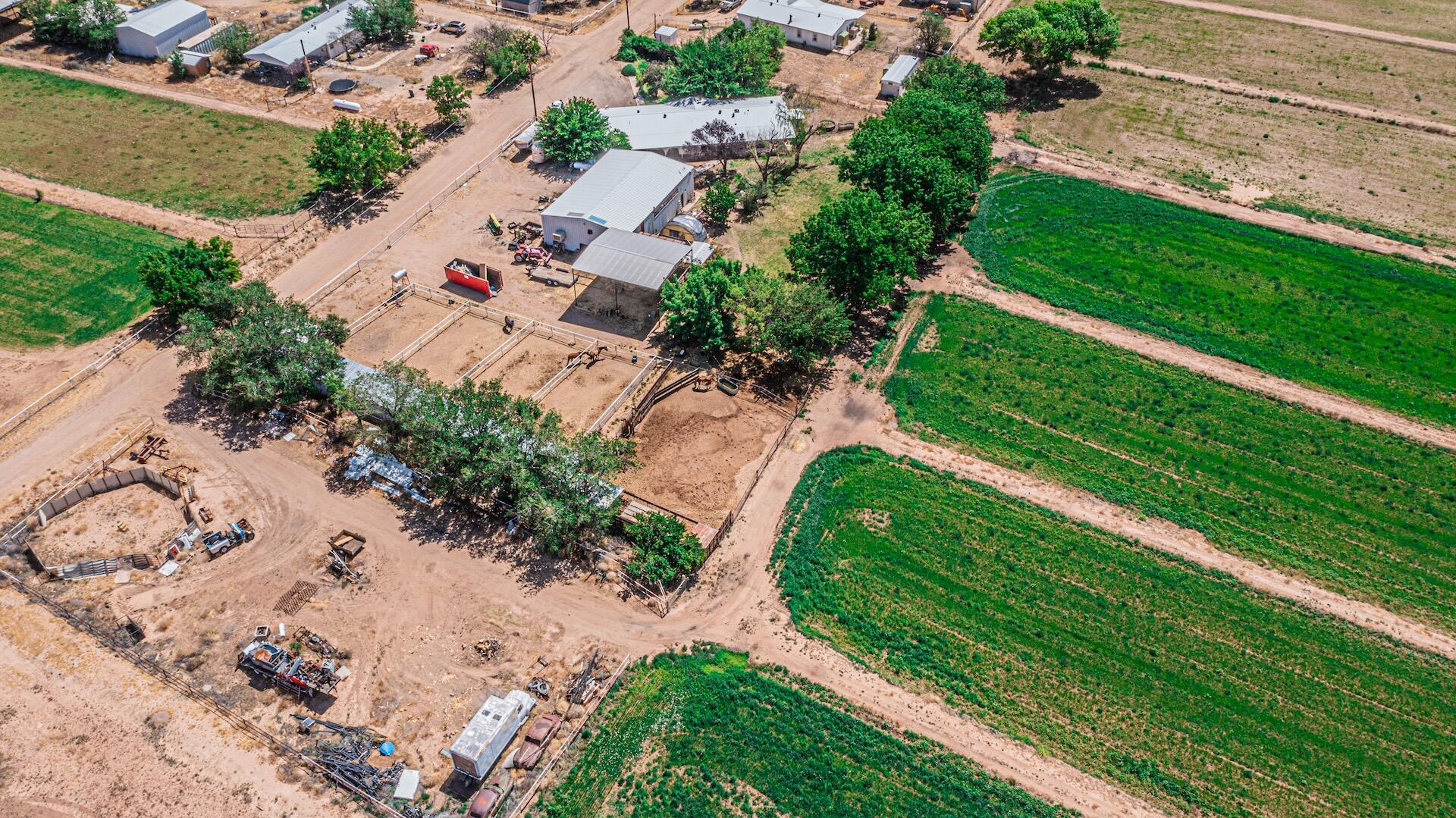 16 Olive Terrace Road