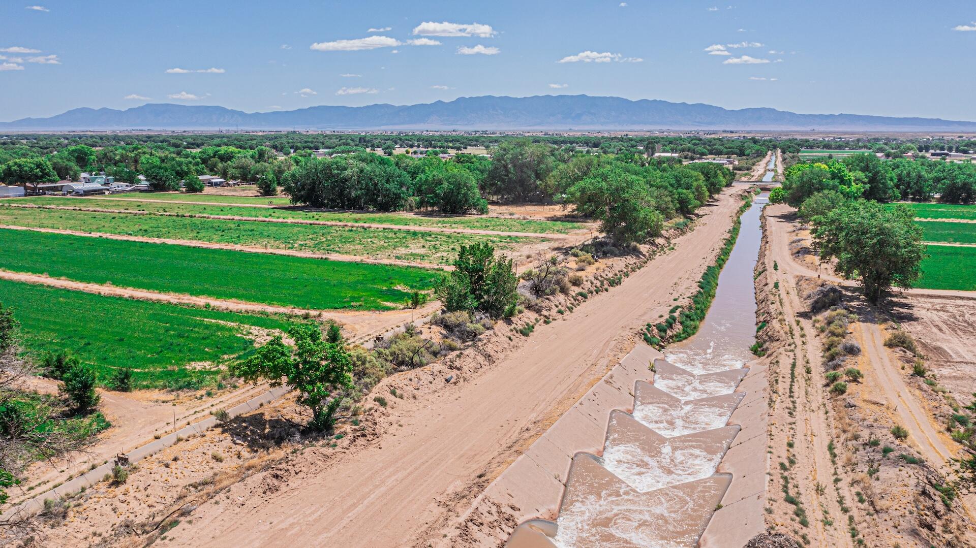 16 Olive Terrace Road