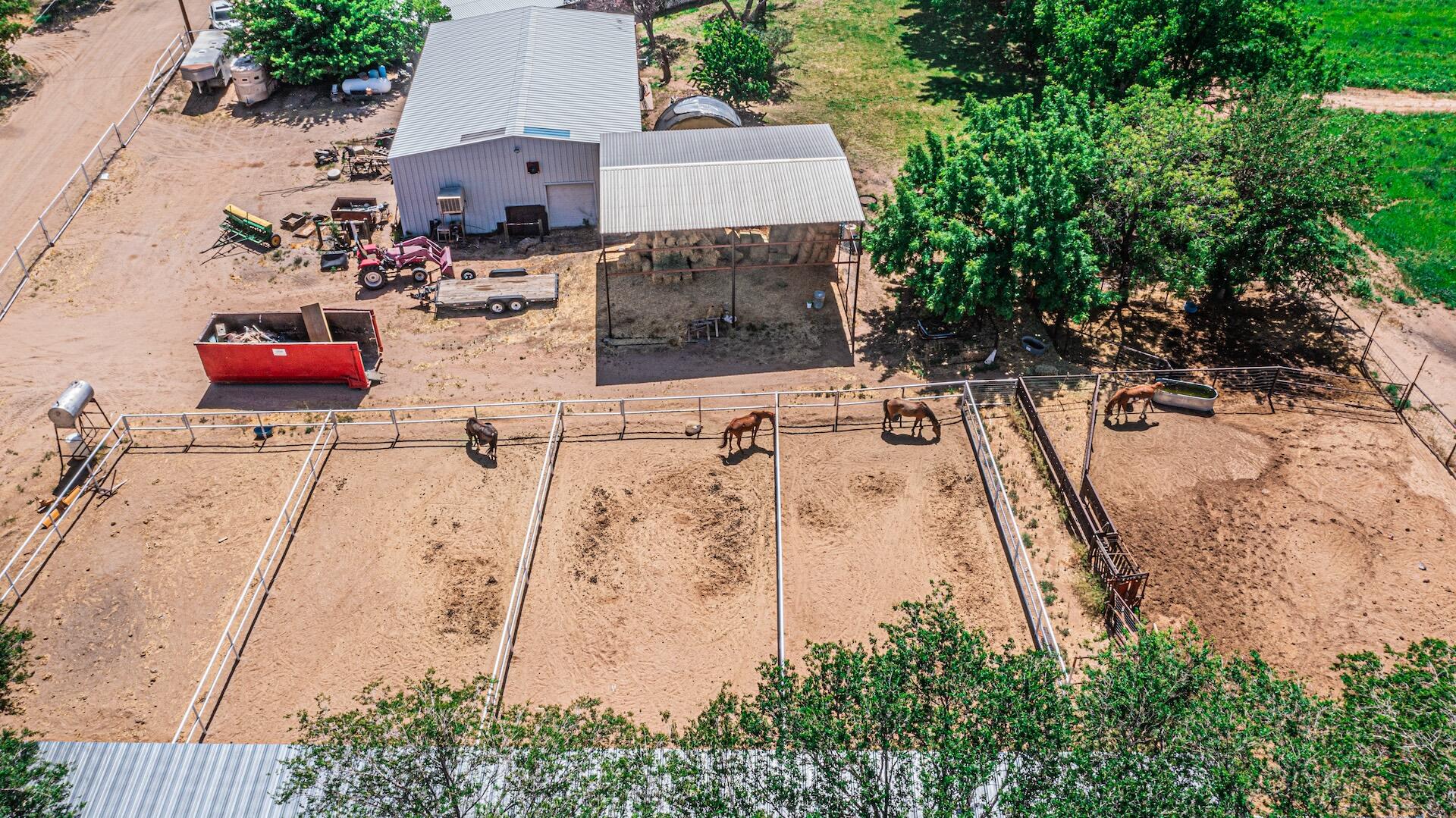 16 Olive Terrace Road