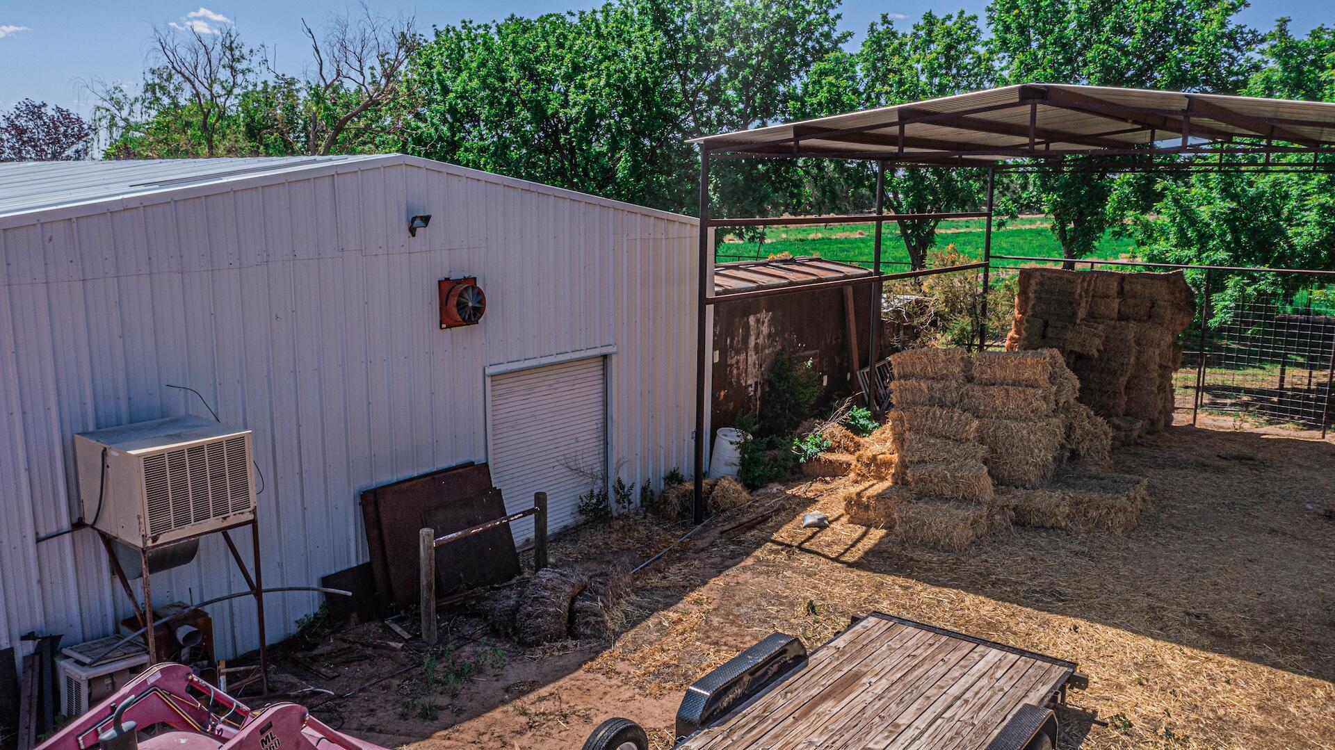 16 Olive Terrace Road