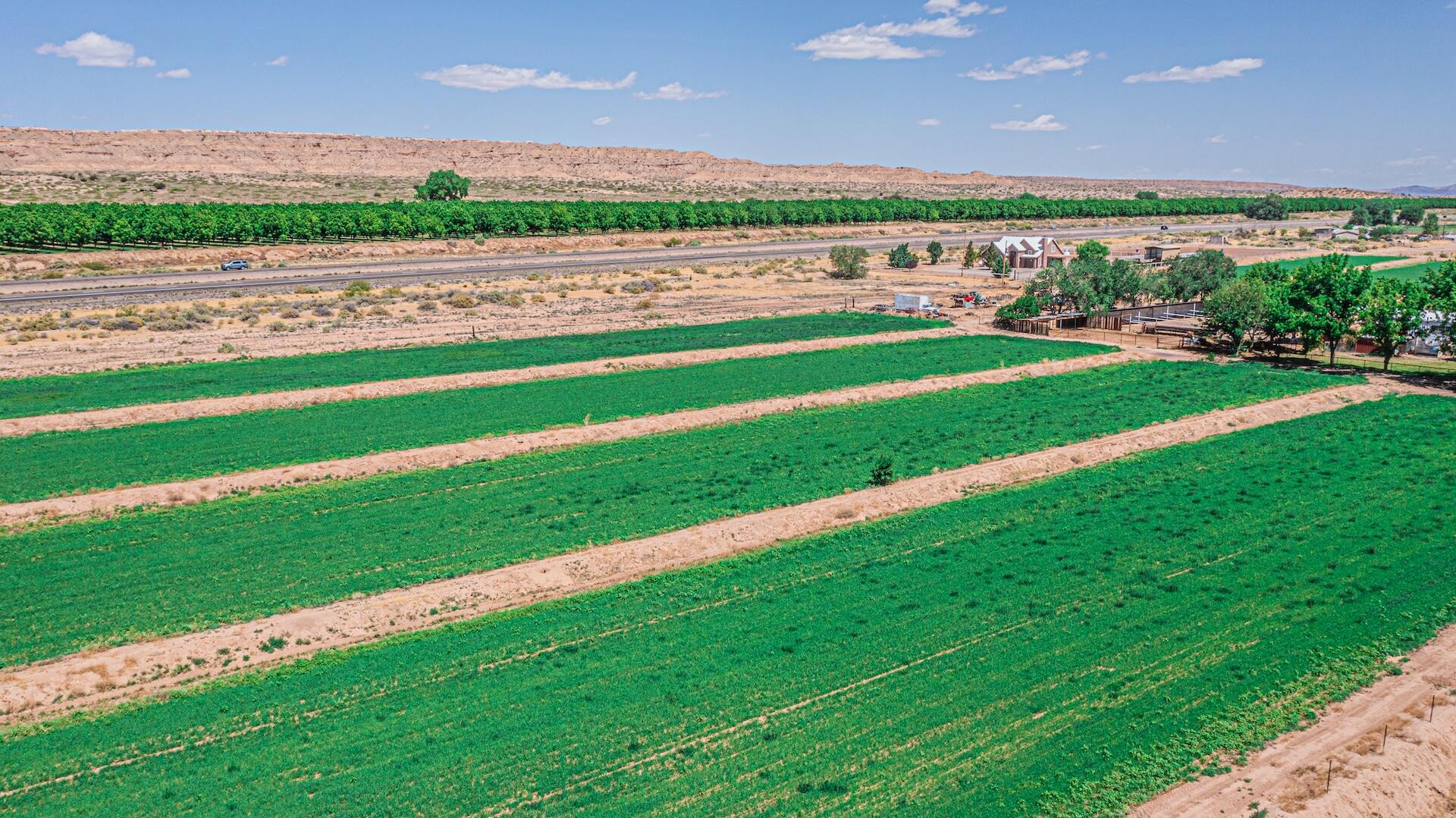 16 Olive Terrace Road