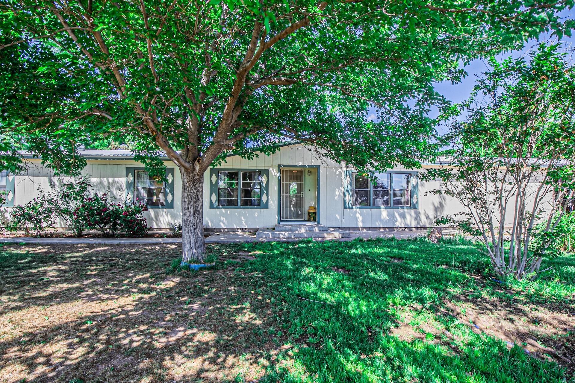 16 Olive Terrace Road