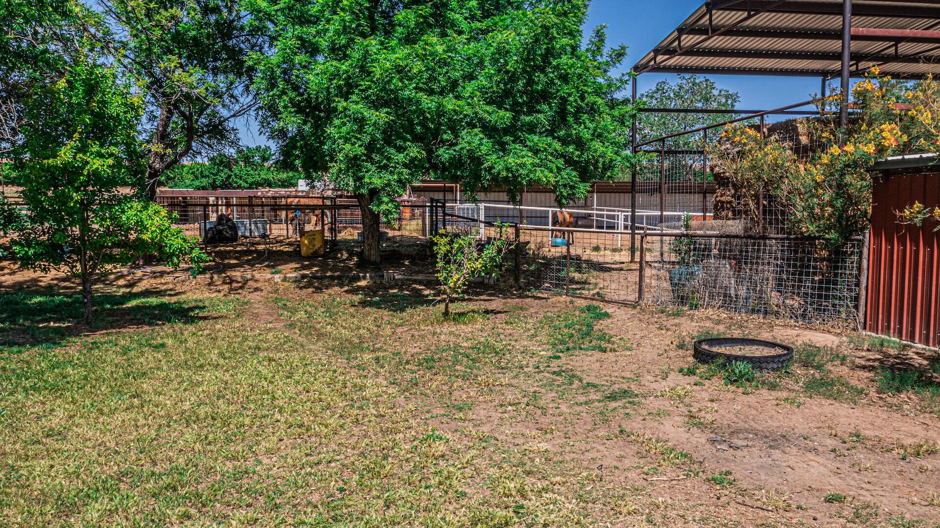 16 Olive Terrace Road