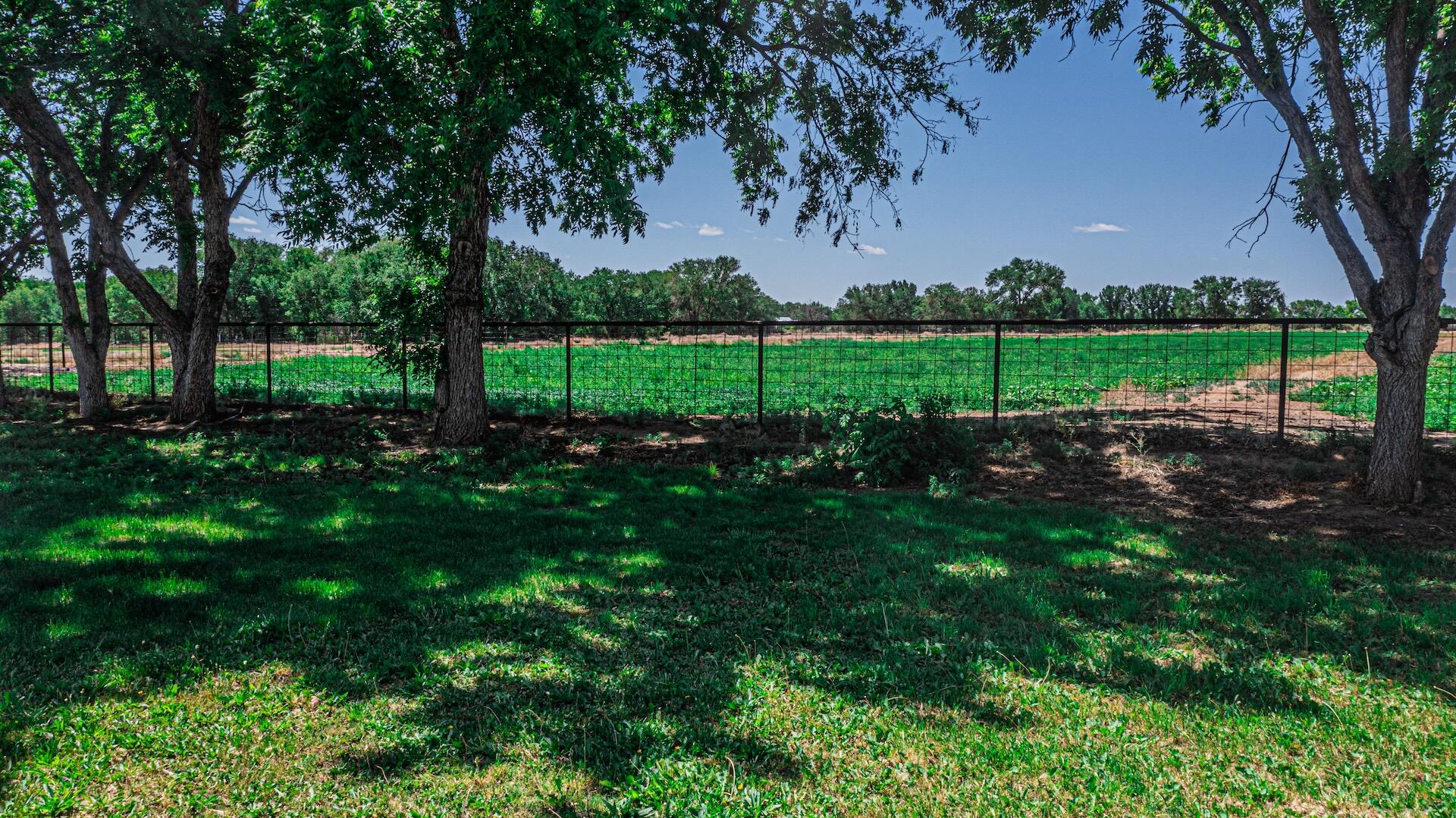 16 Olive Terrace Road