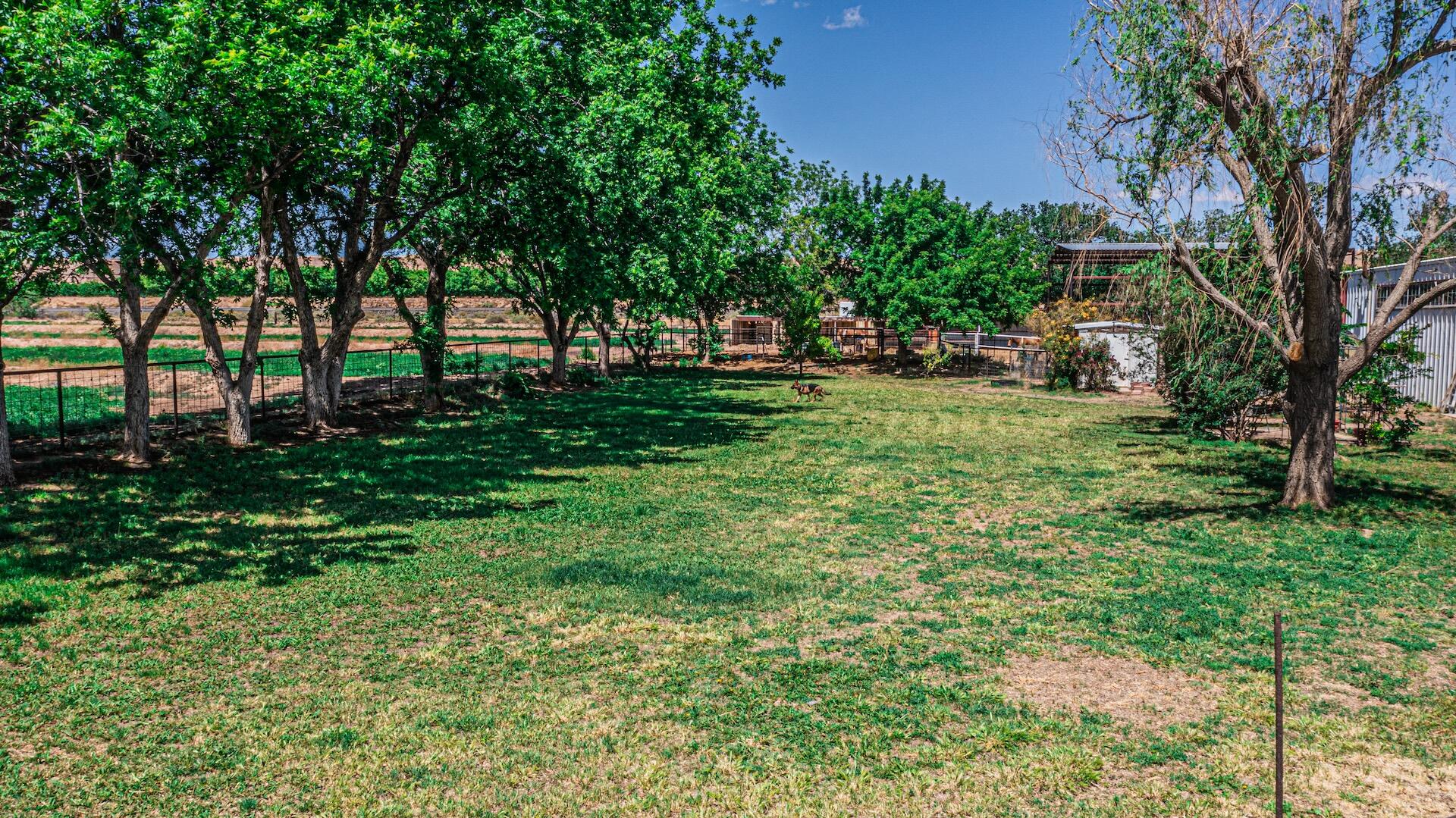 16 Olive Terrace Road