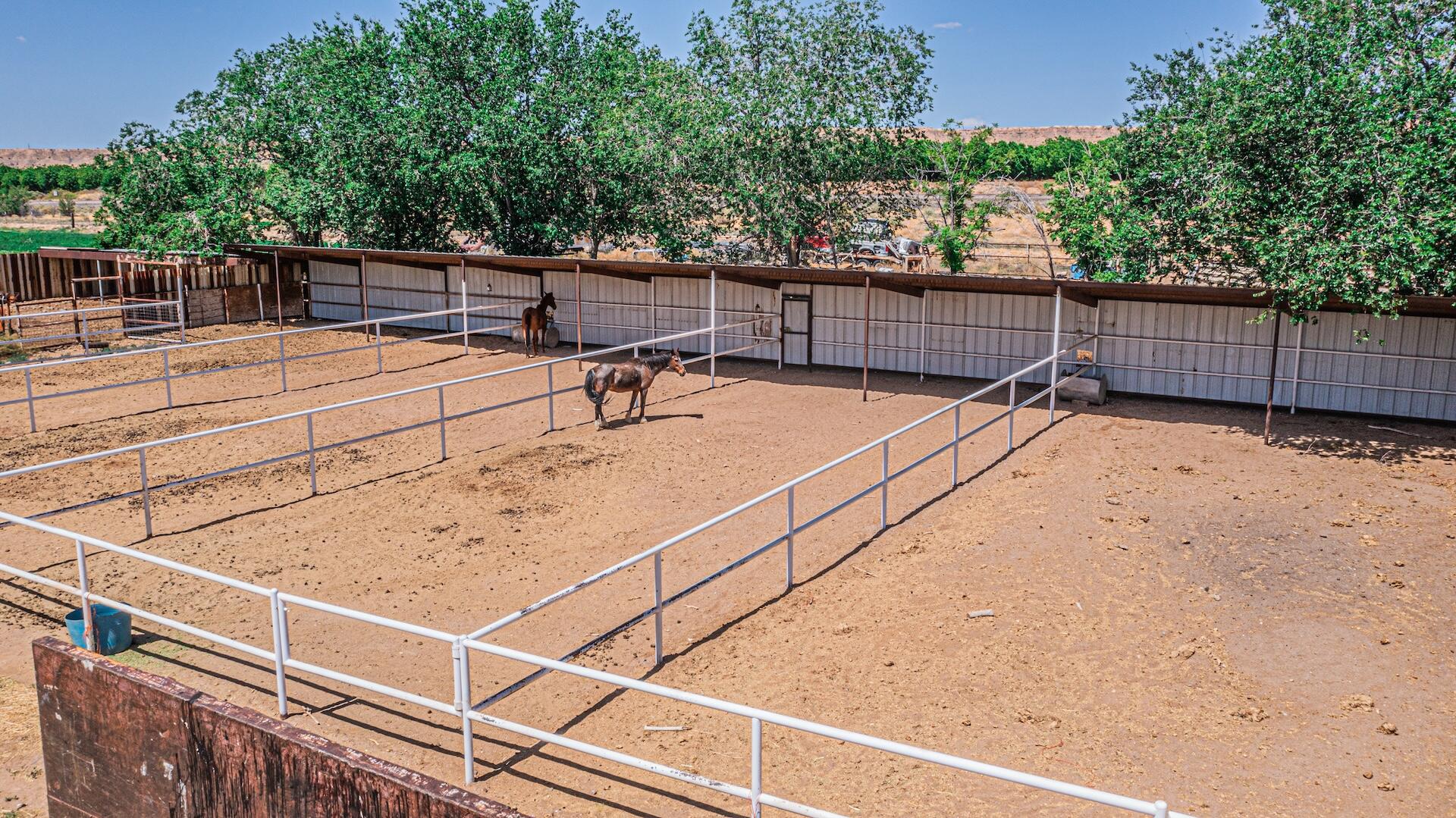 16 Olive Terrace Road