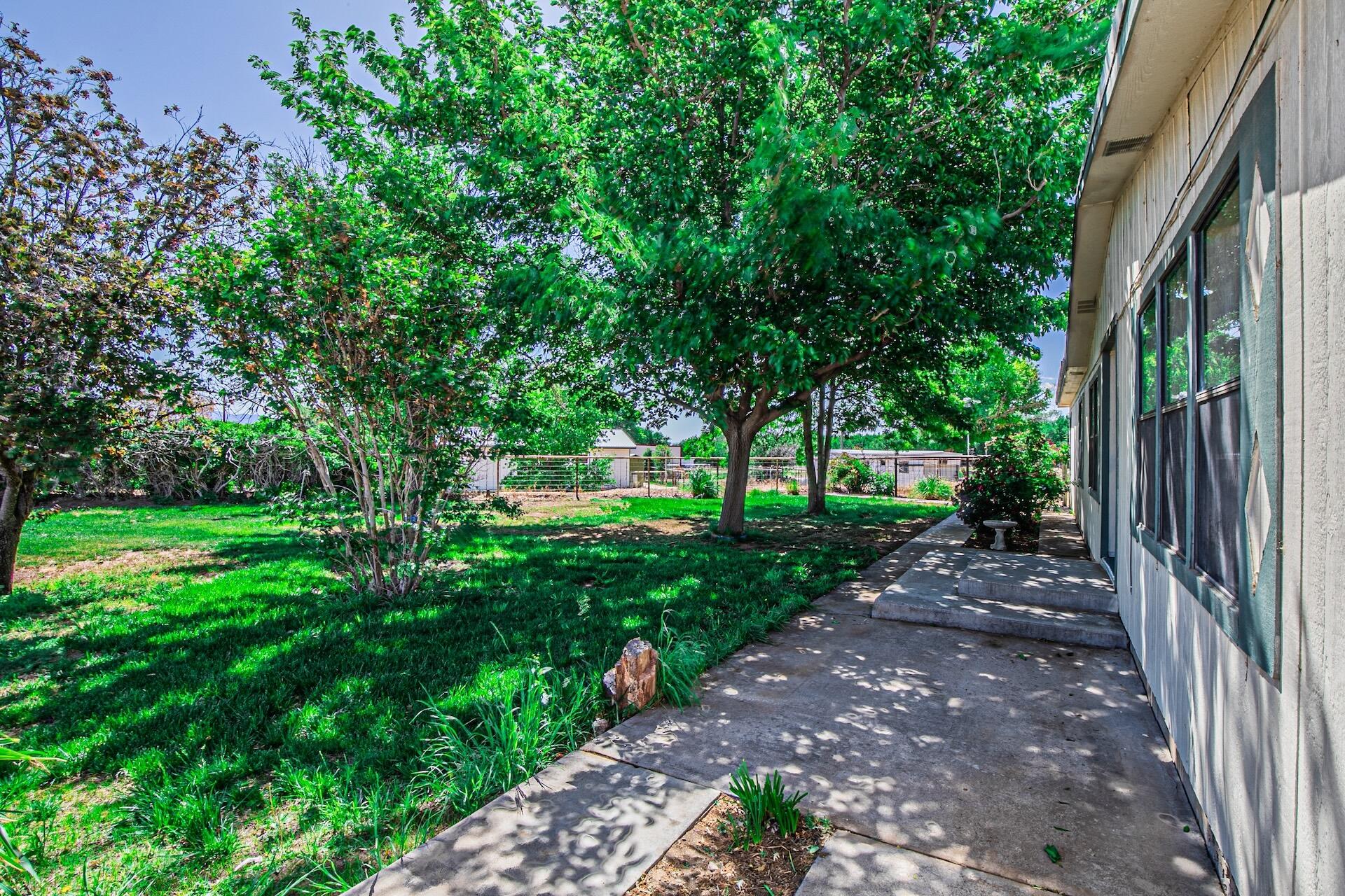 16 Olive Terrace Road