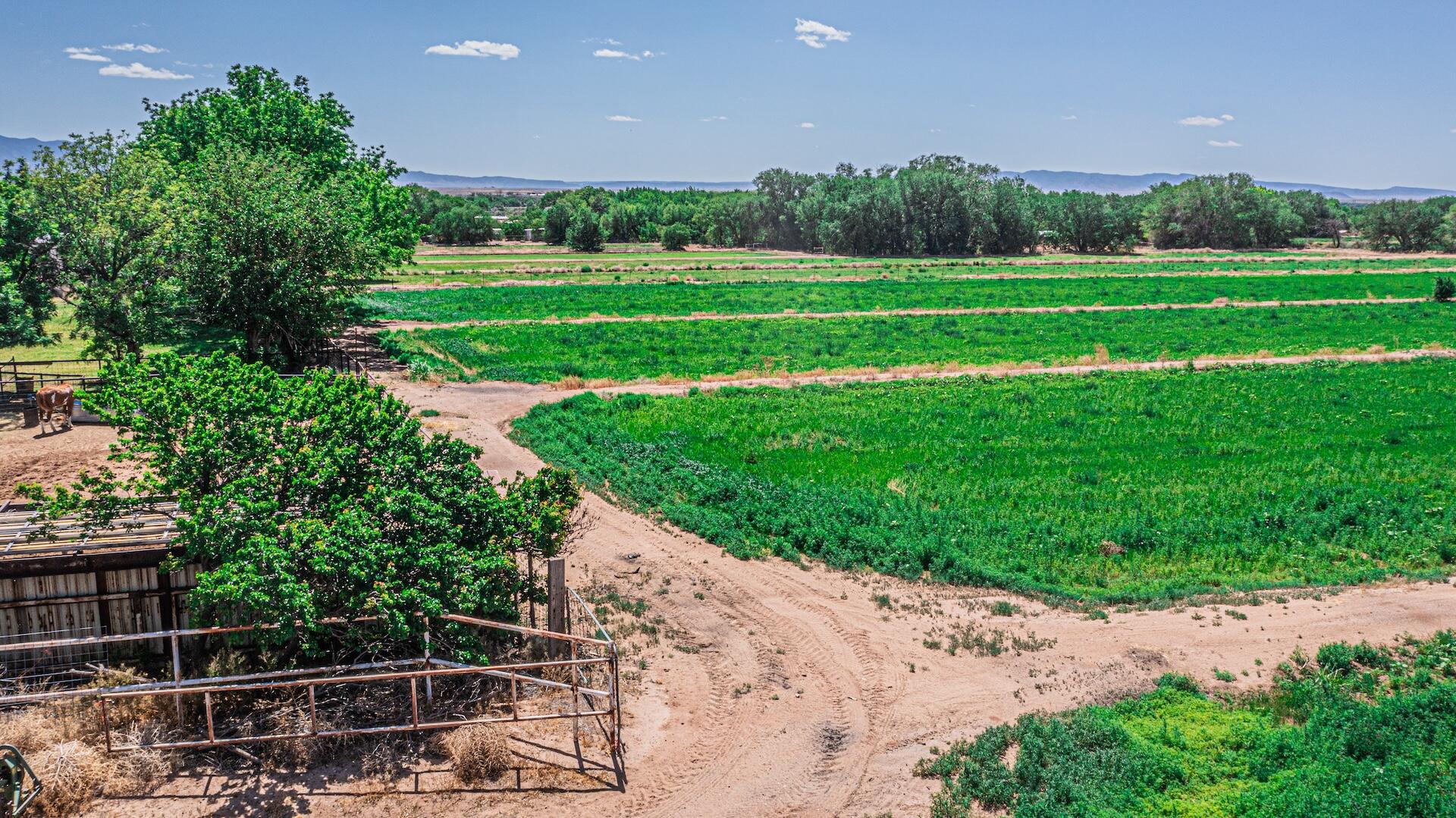 16 Olive Terrace Road