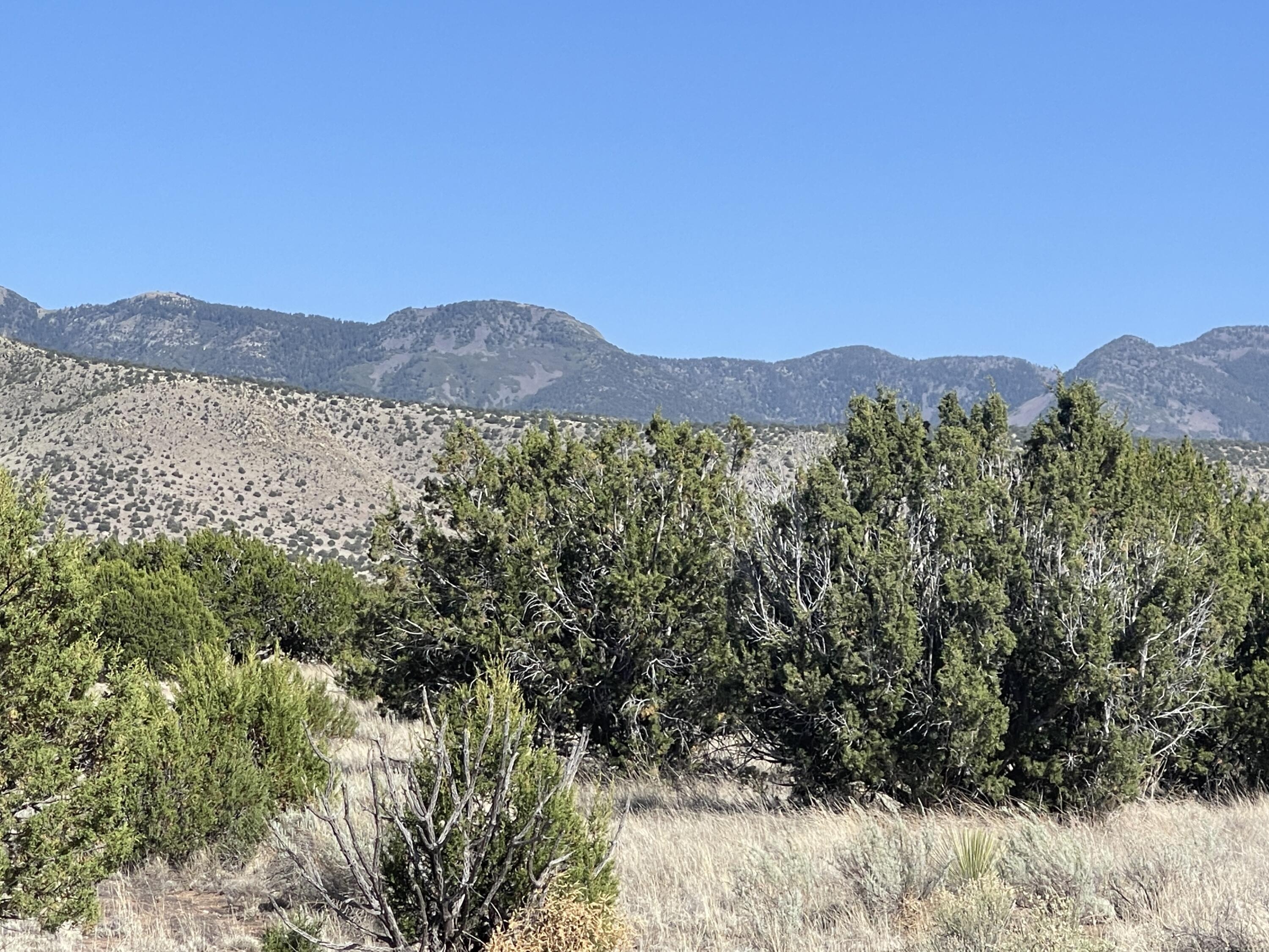 Lot 4 Ranch Estates