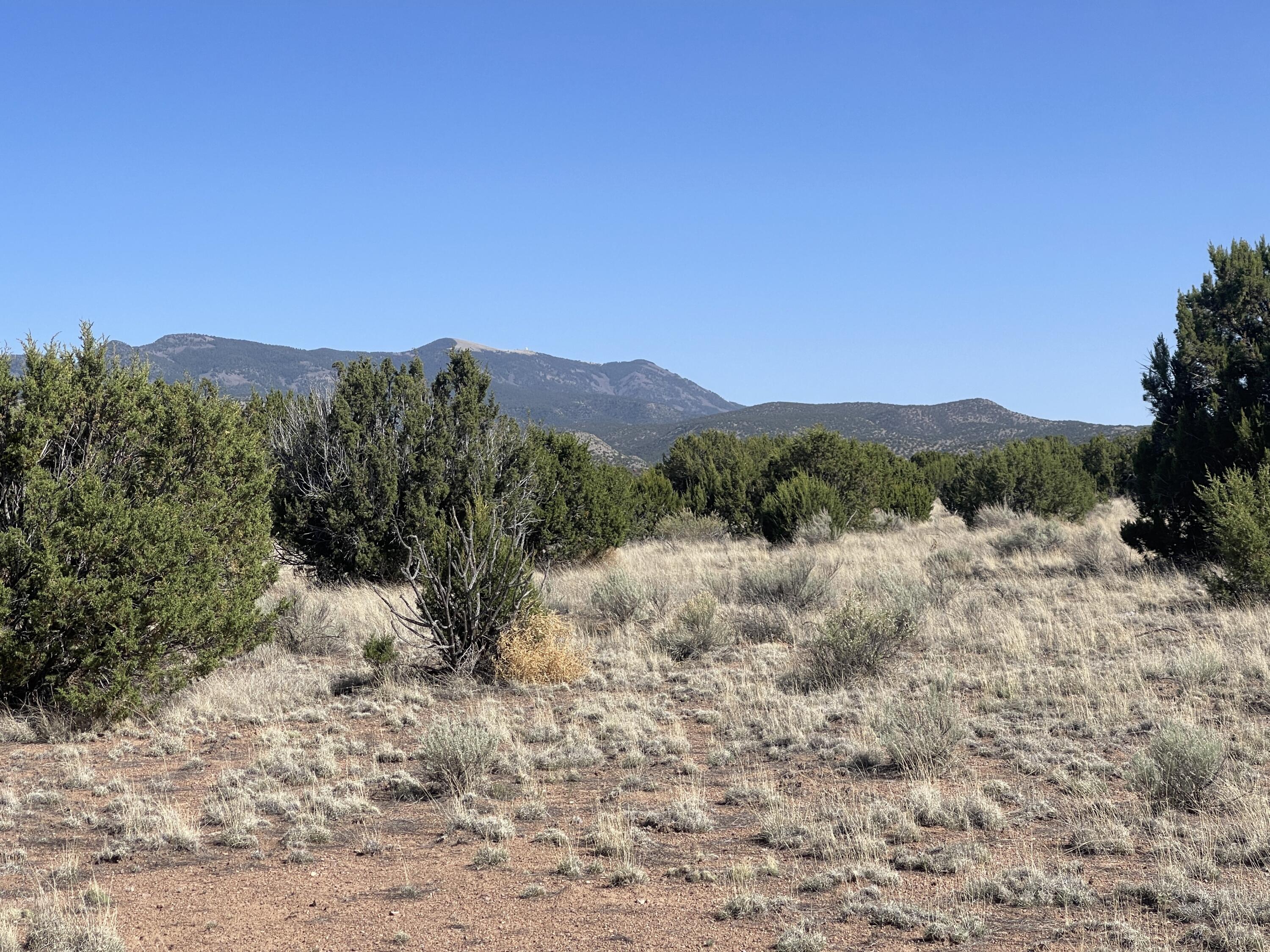 Lot 4 Ranch Estates