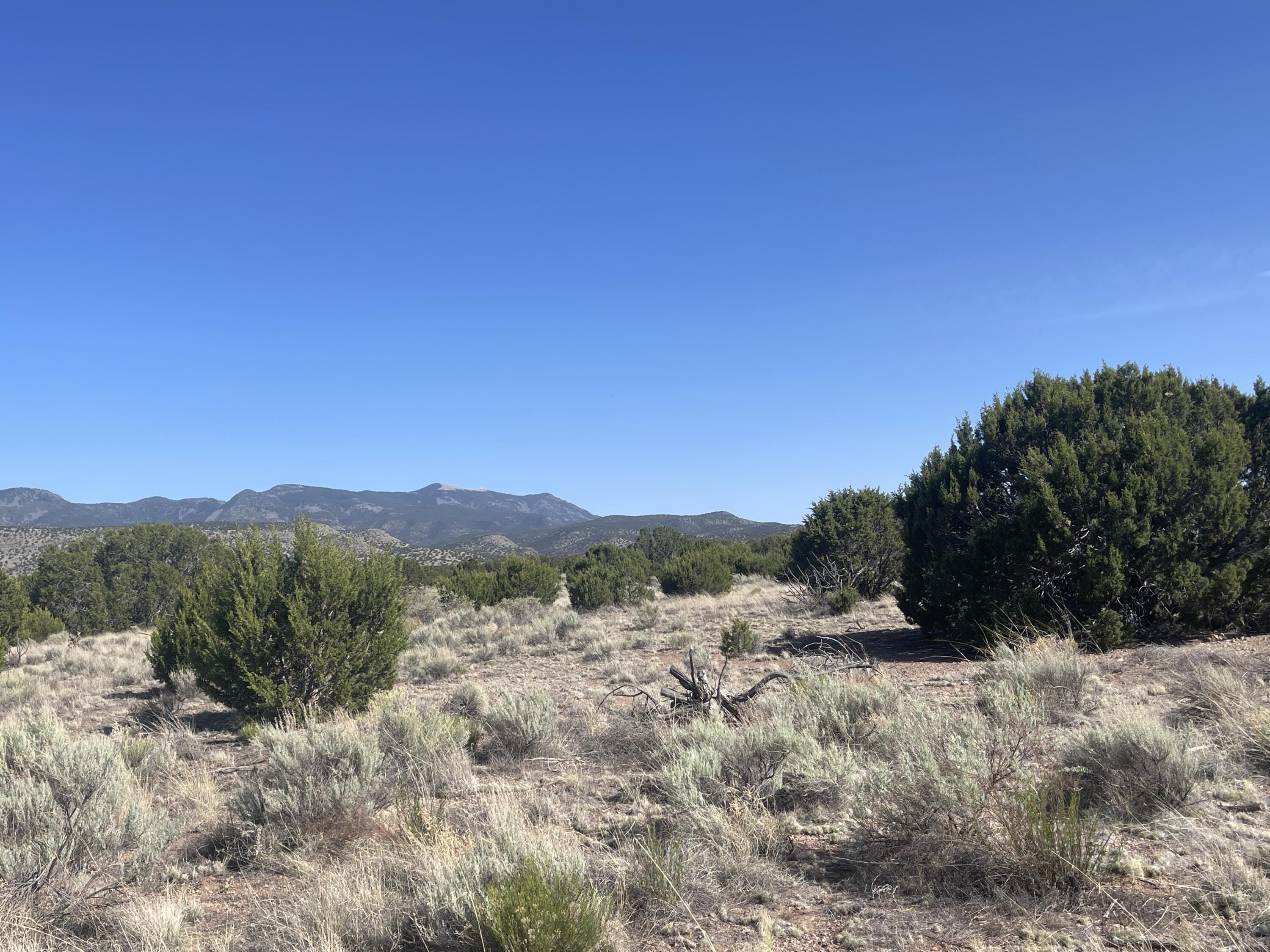 Lot 4 Ranch Estates
