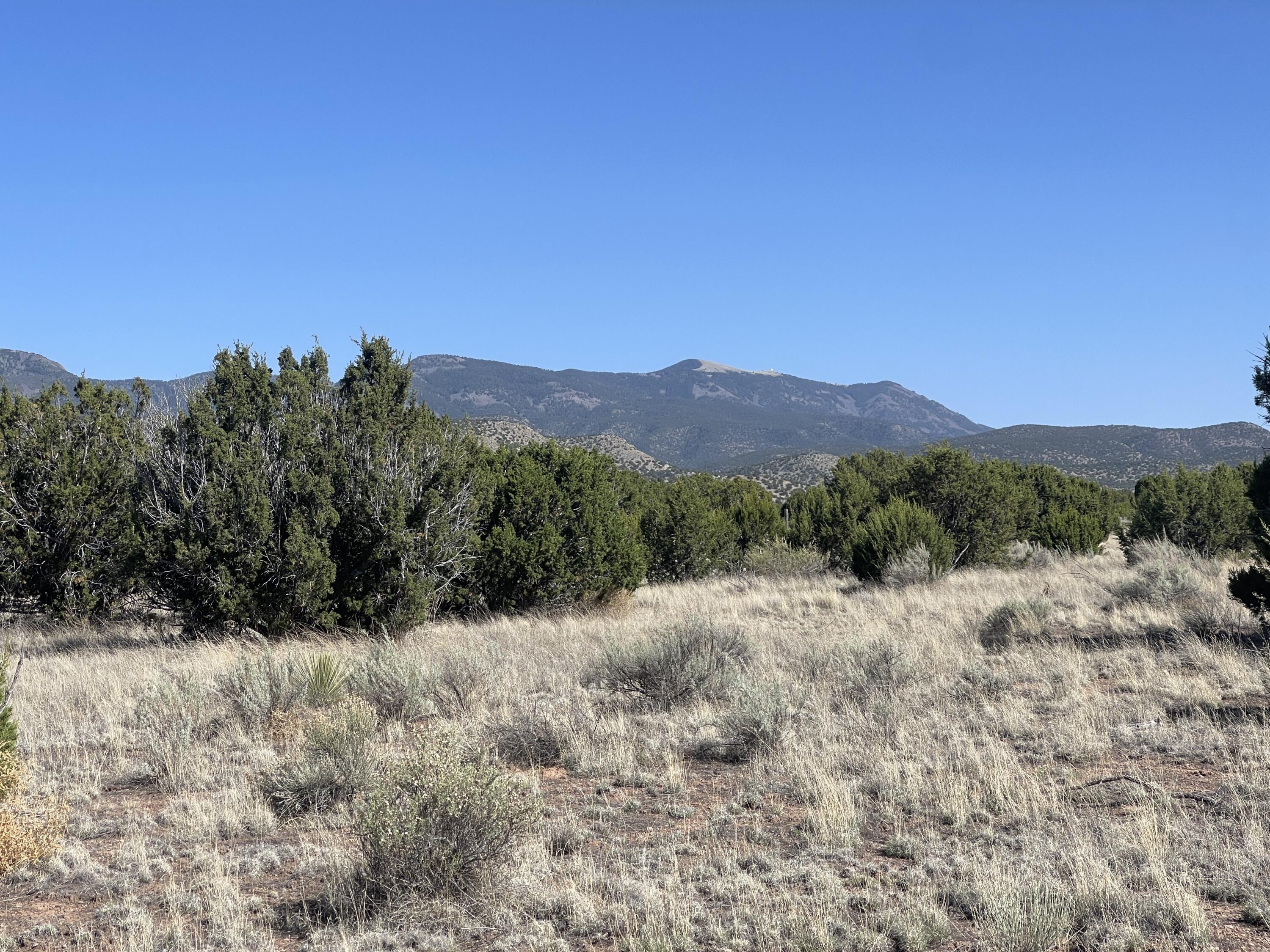 Lot 4 Ranch Estates