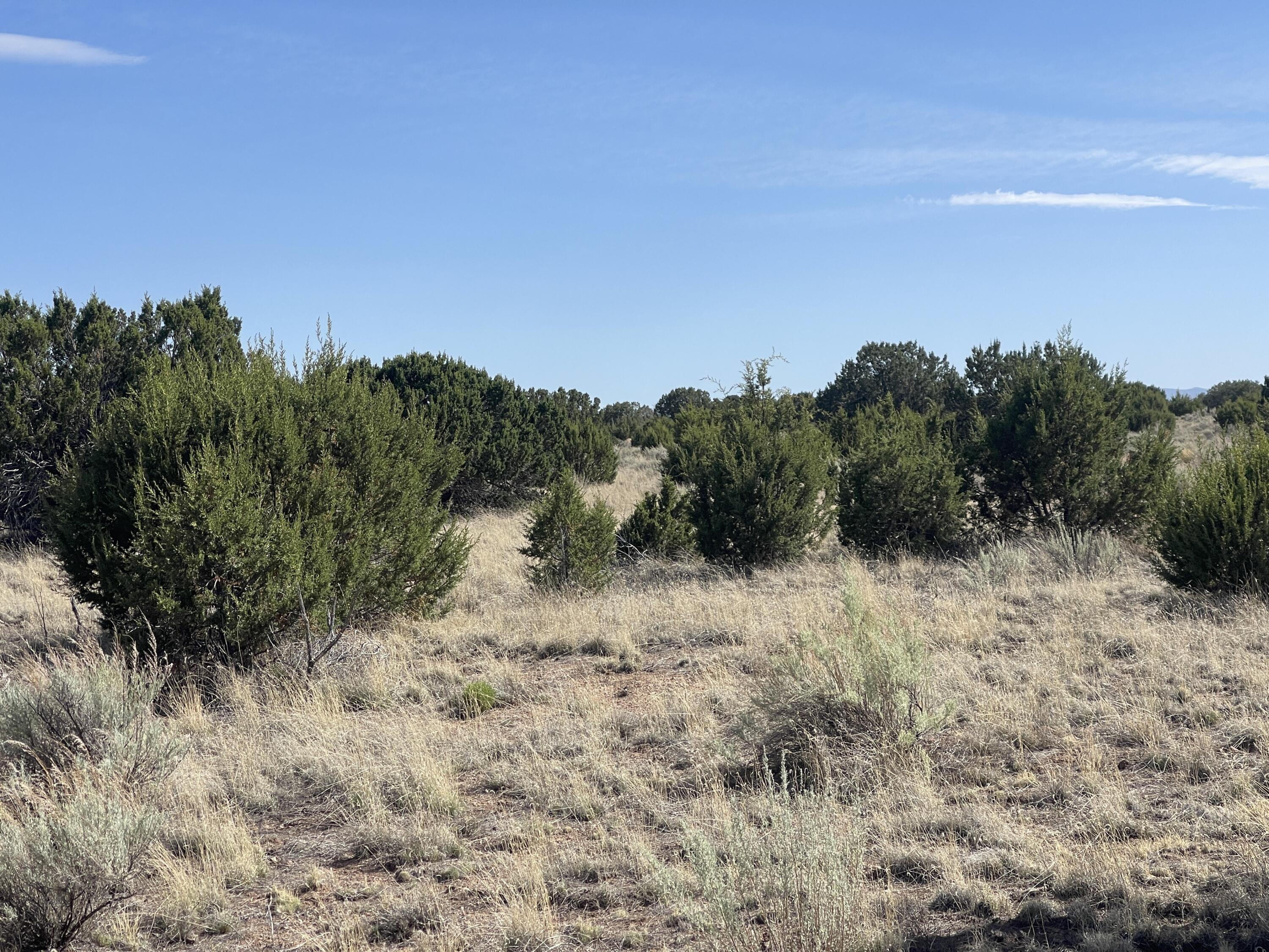 Lot 4 Ranch Estates
