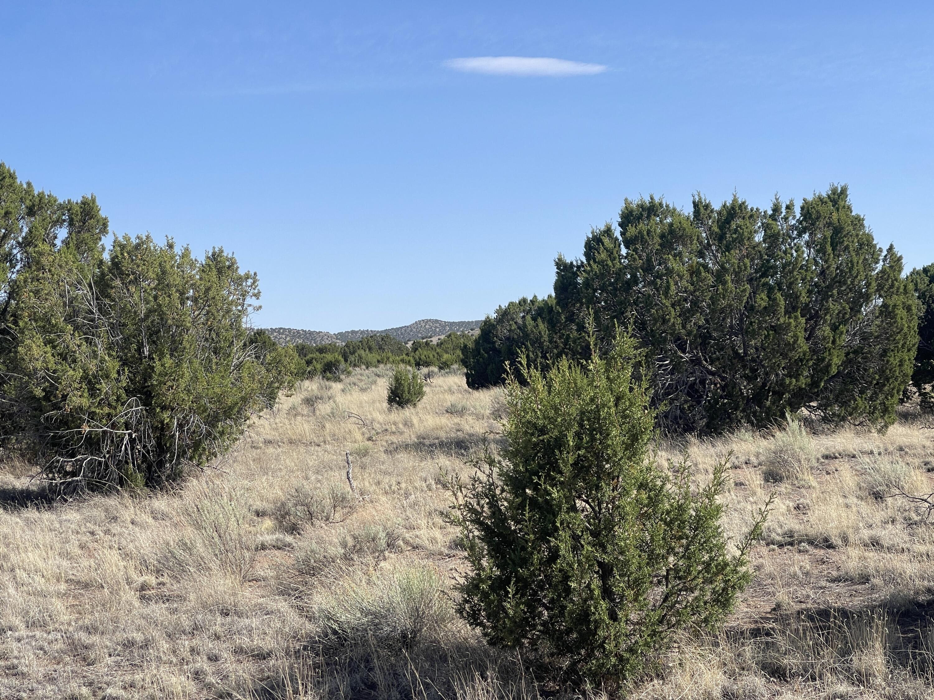 Lot 4 Ranch Estates
