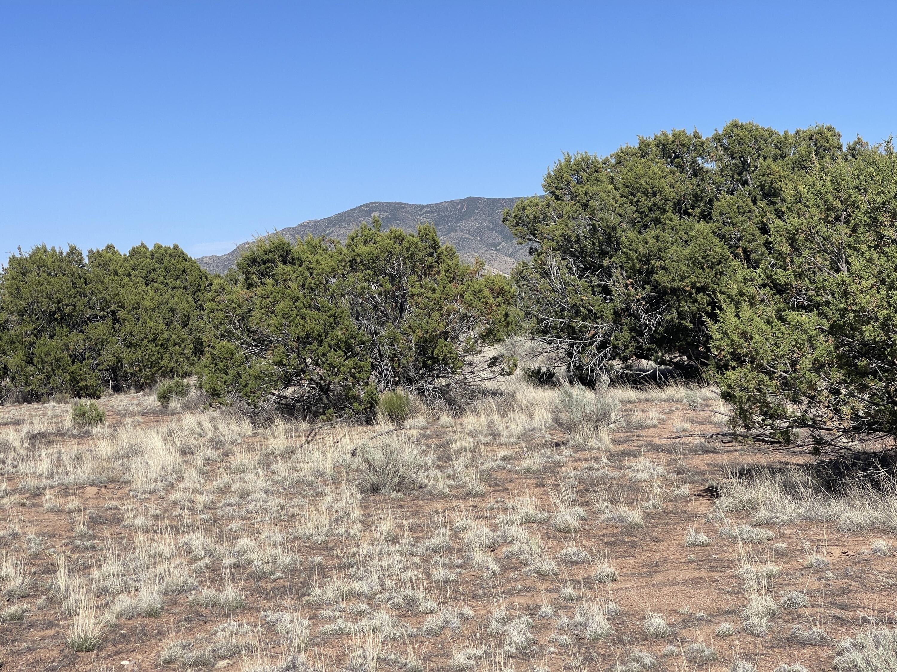 Lot 4 Ranch Estates