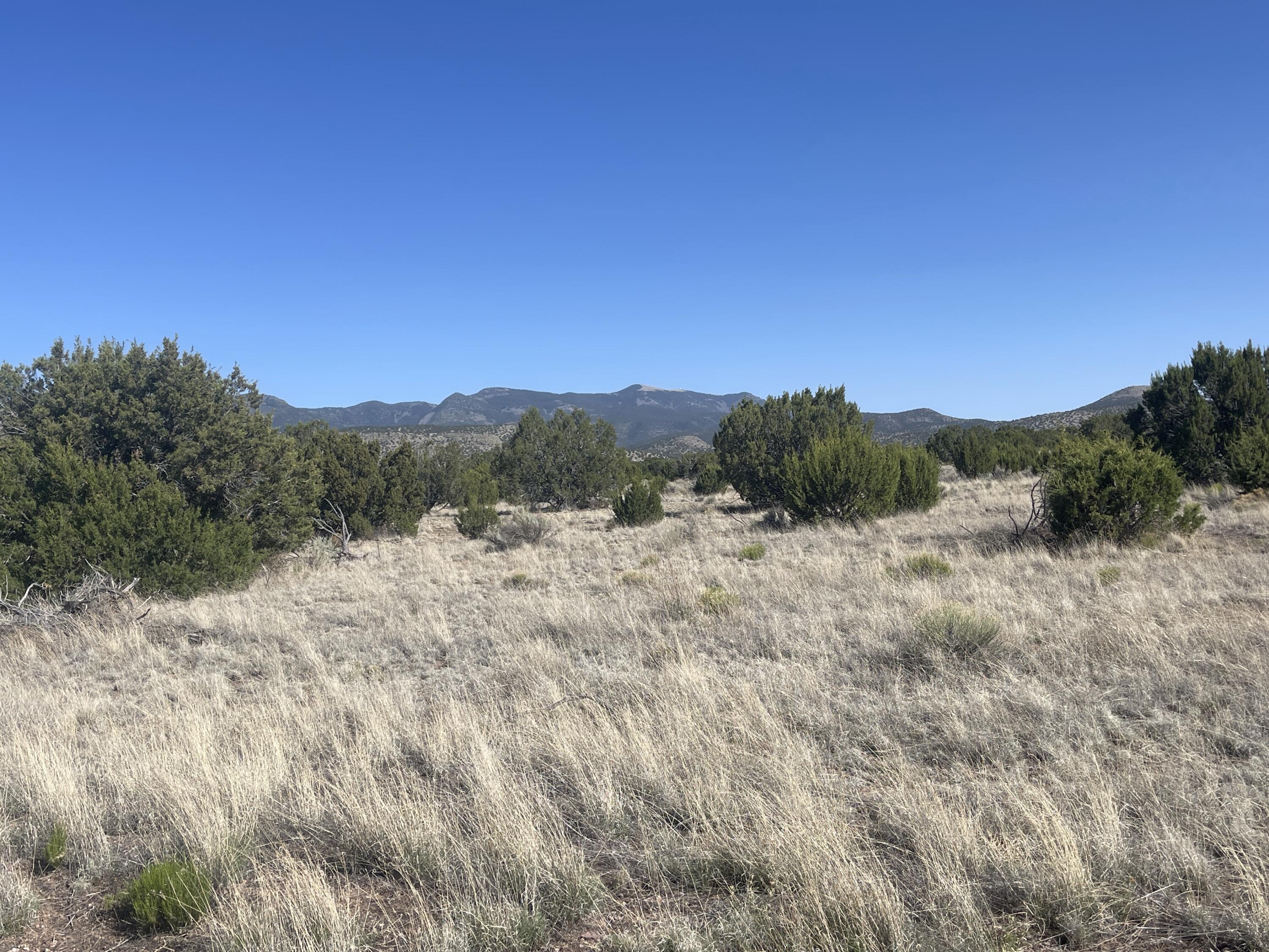 Lot 4 Ranch Estates