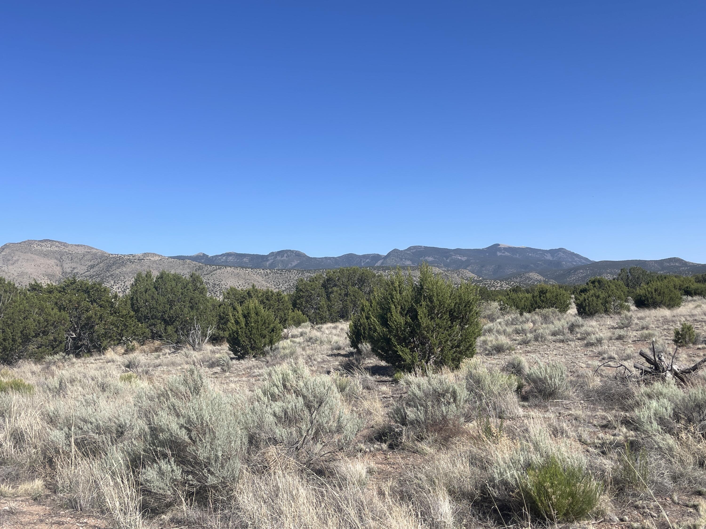 Lot 4 Ranch Estates