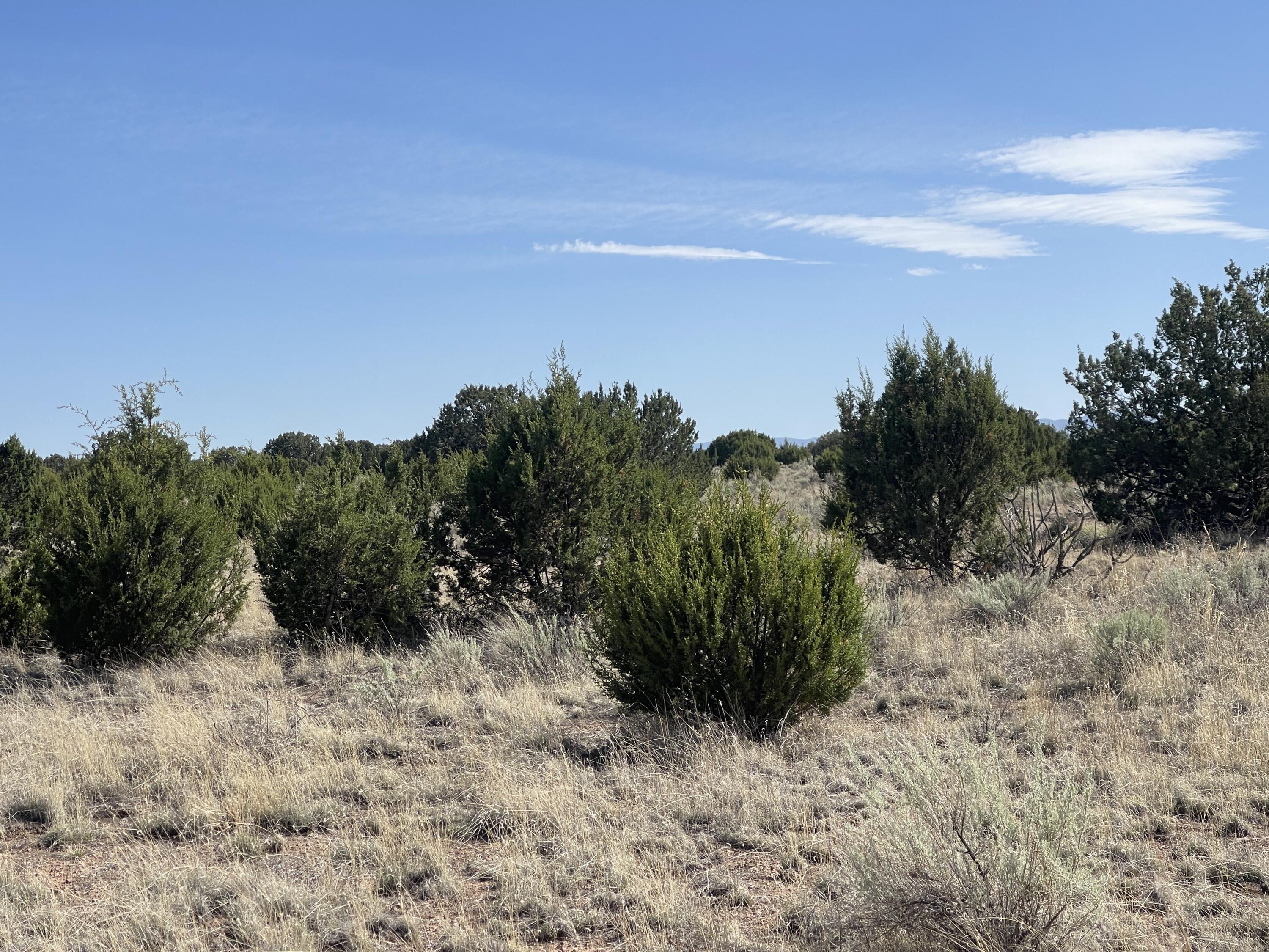 Lot 4 Ranch Estates