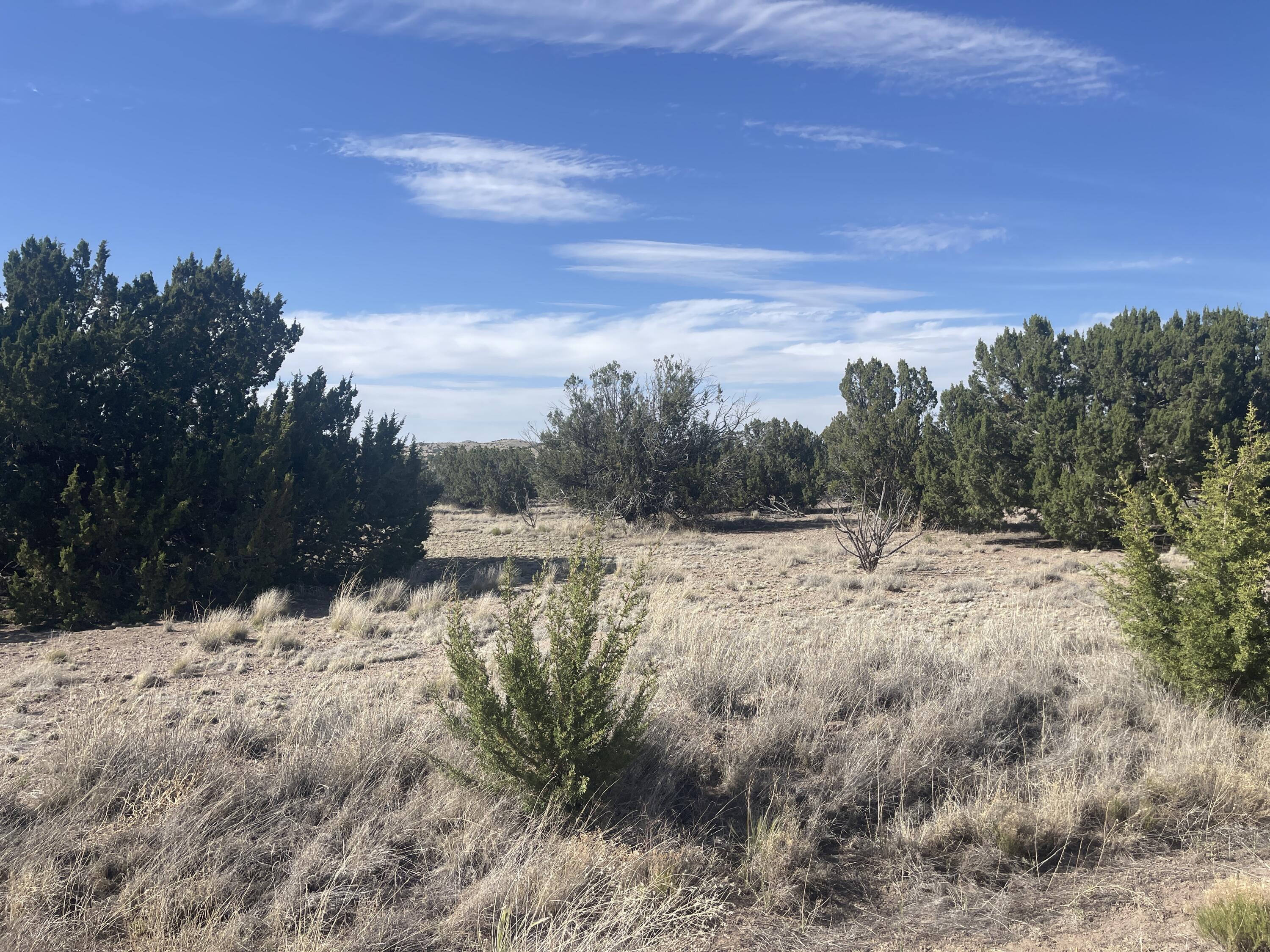 Lot 31 Ranch Estates
