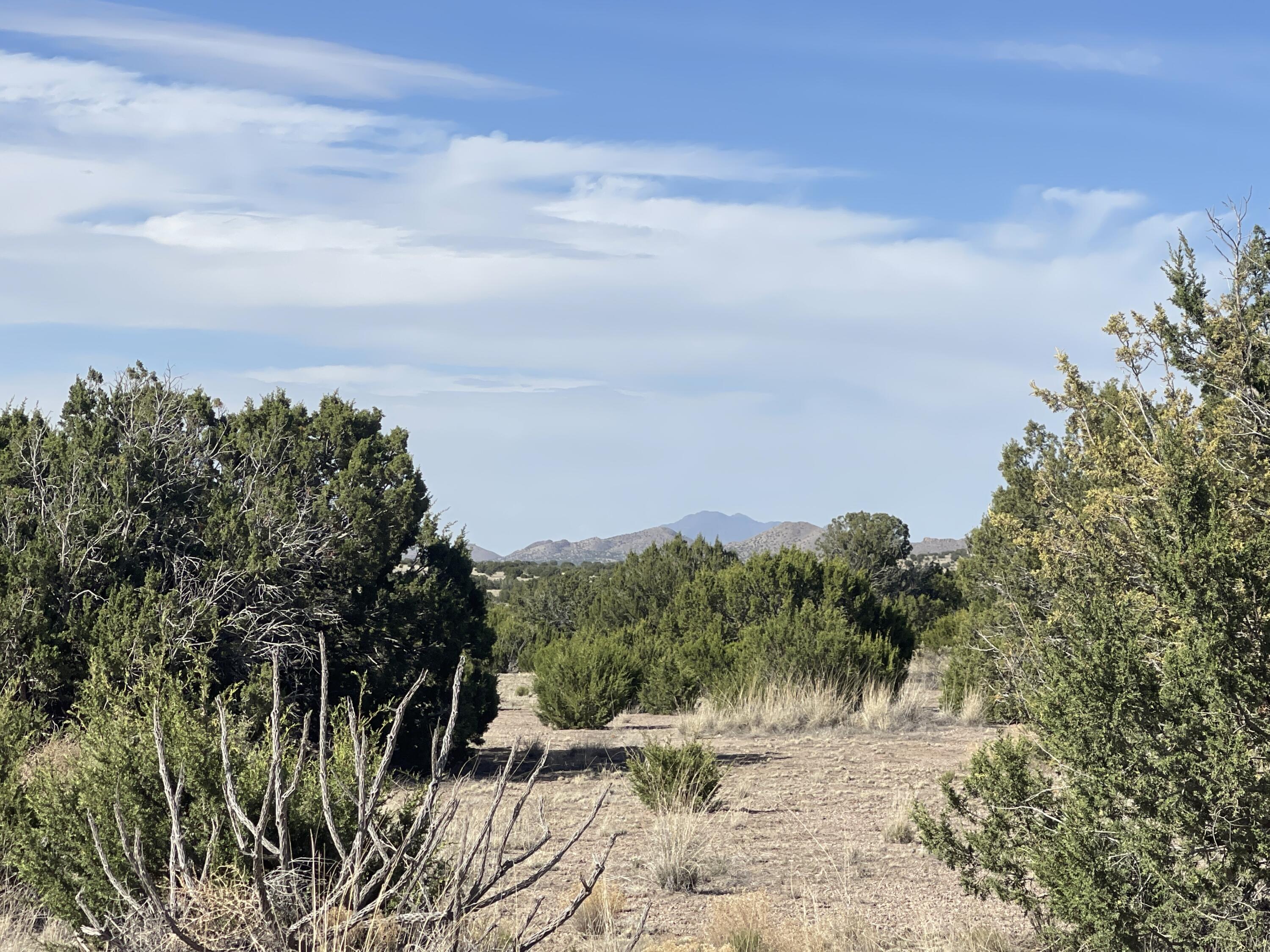 Lot 31 Ranch Estates