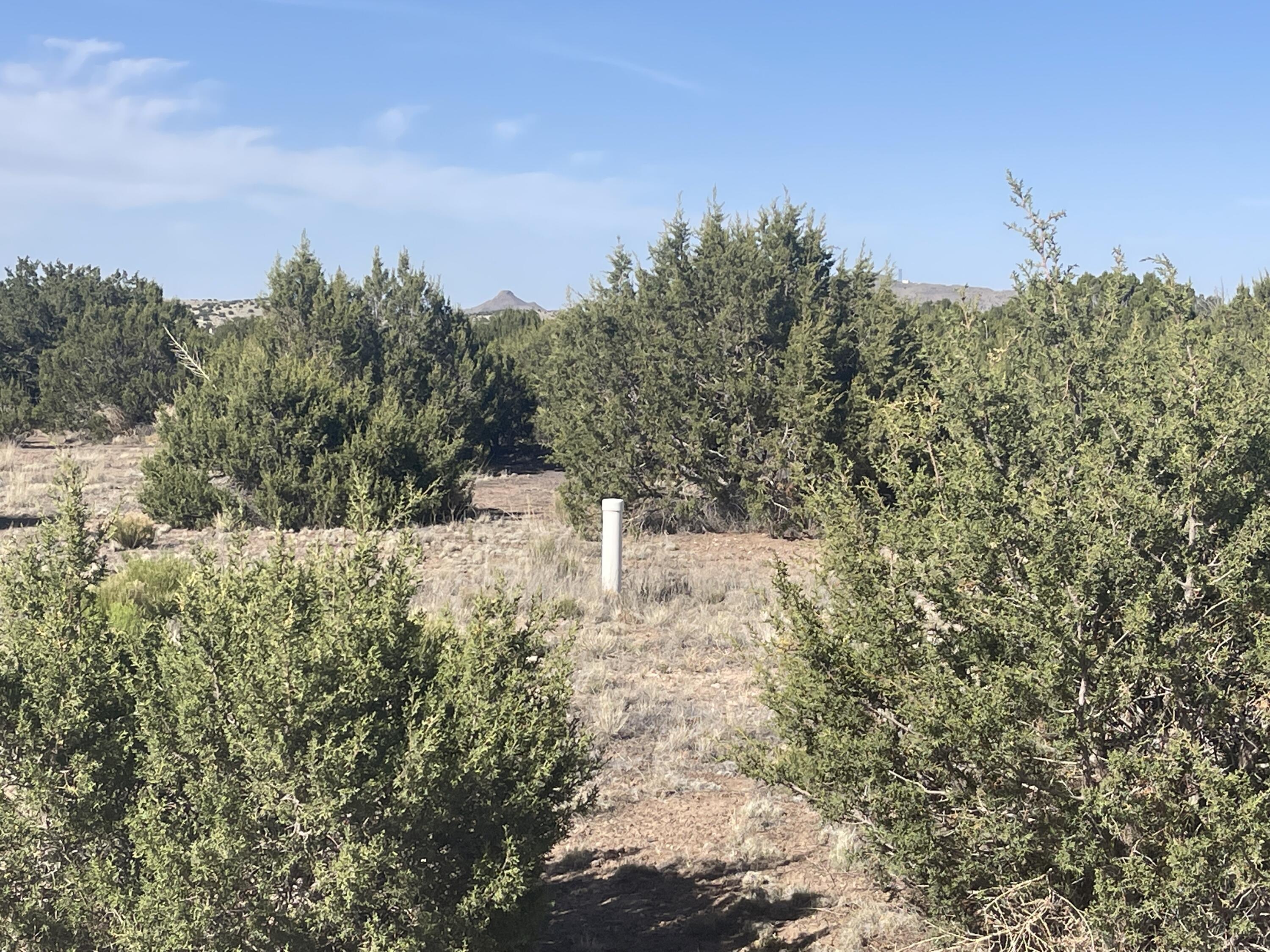 Lot 31 Ranch Estates