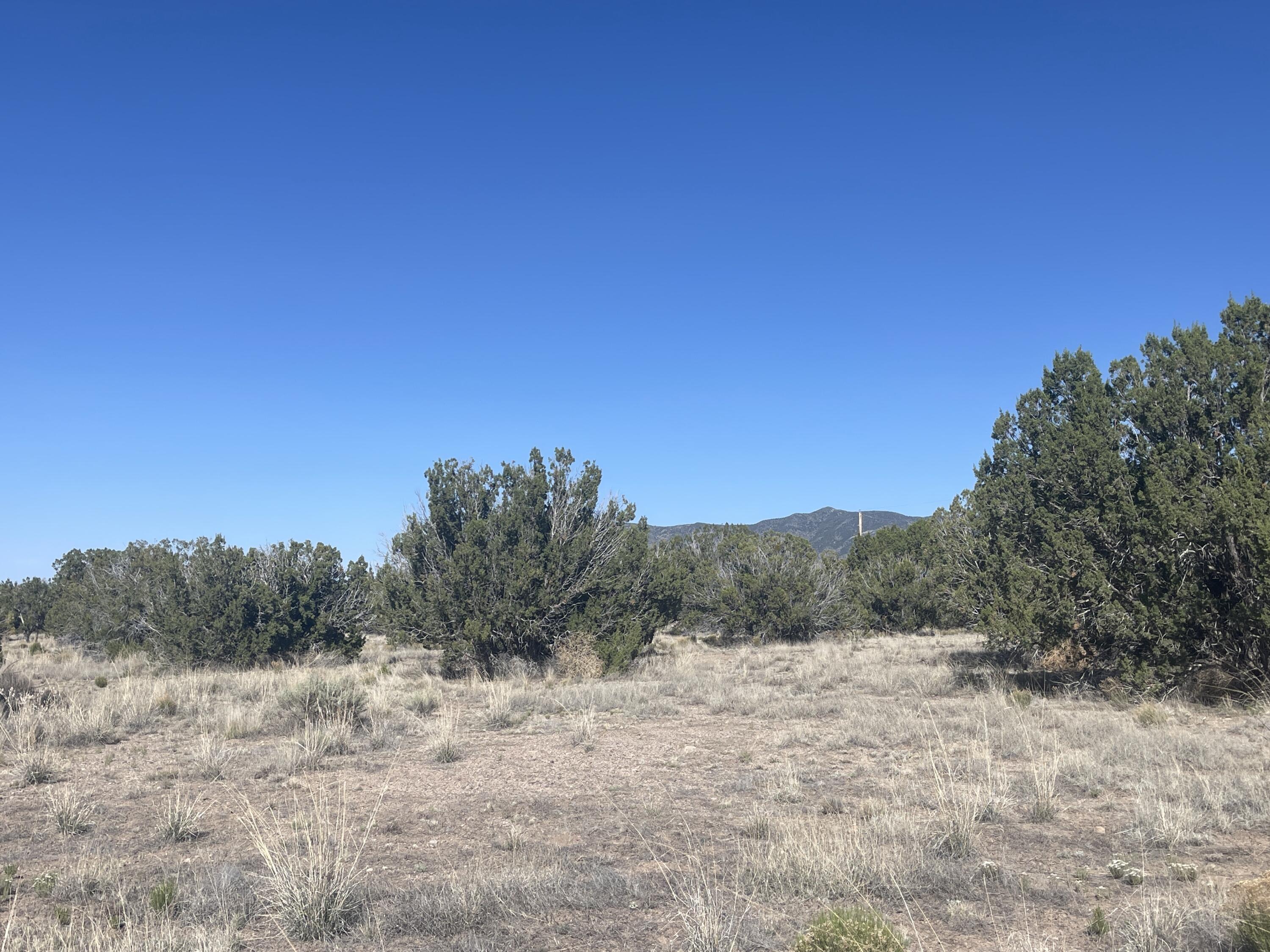 Lot 31 Ranch Estates