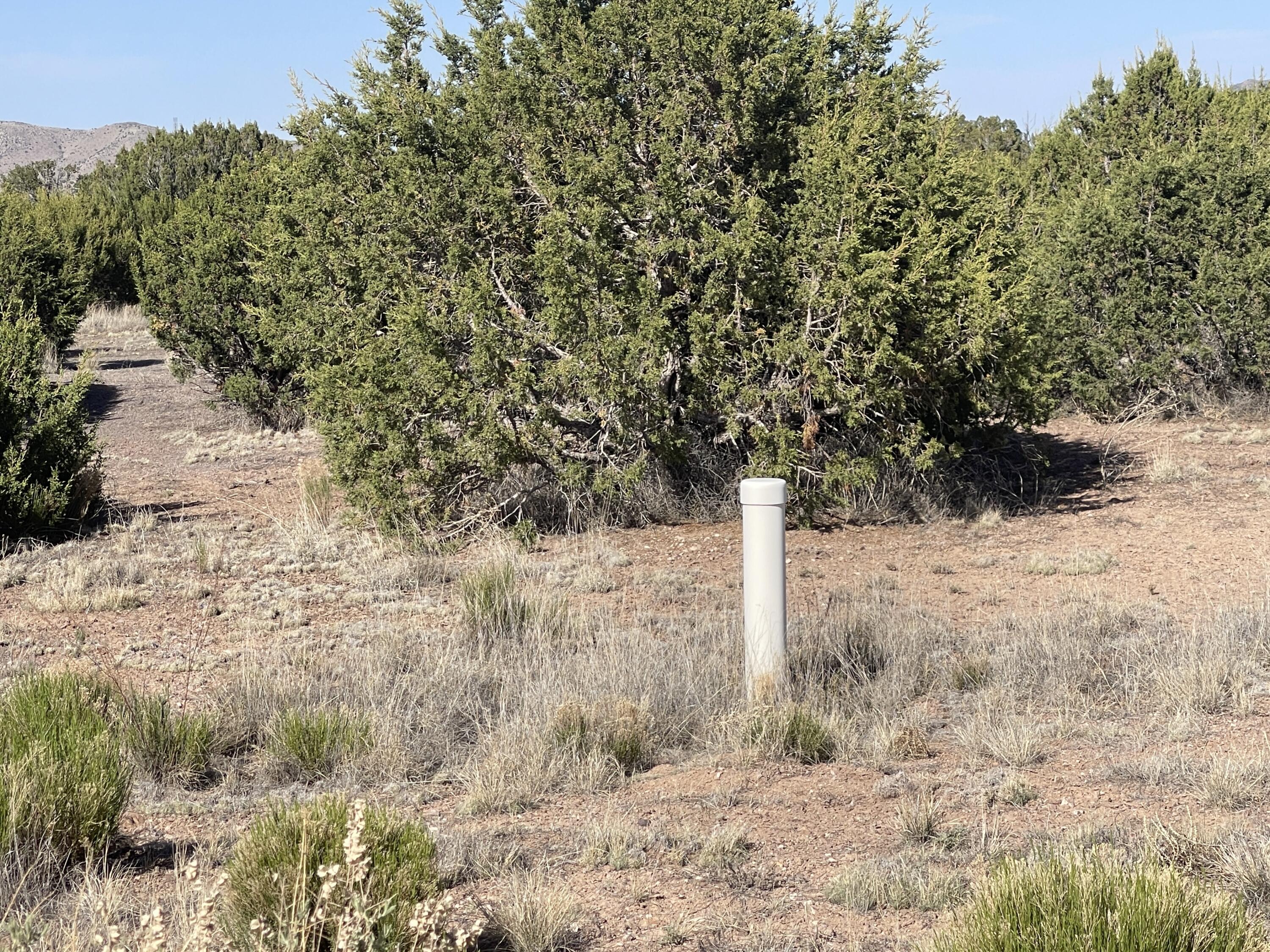 Lot 31 Ranch Estates