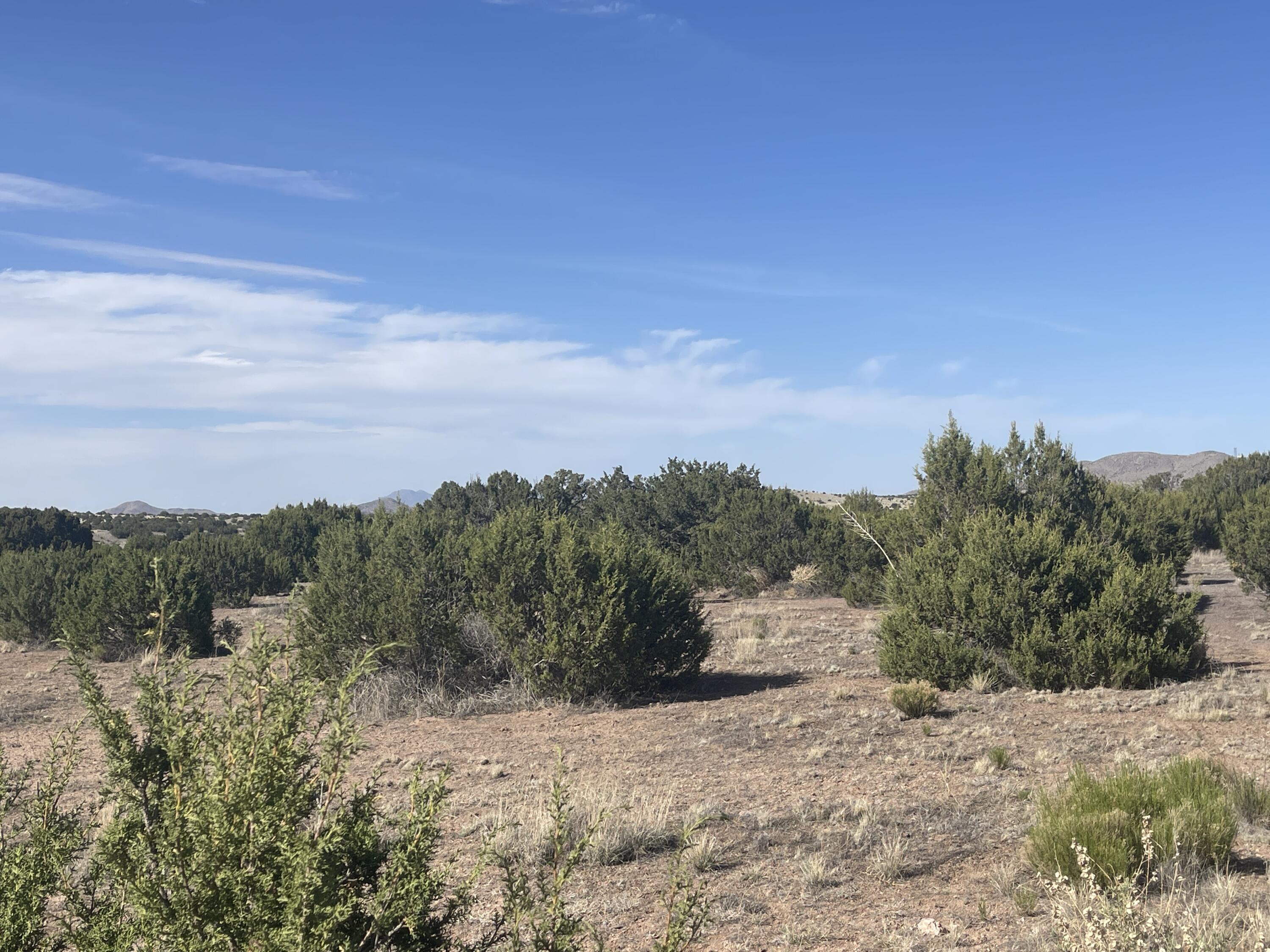 Lot 31 Ranch Estates