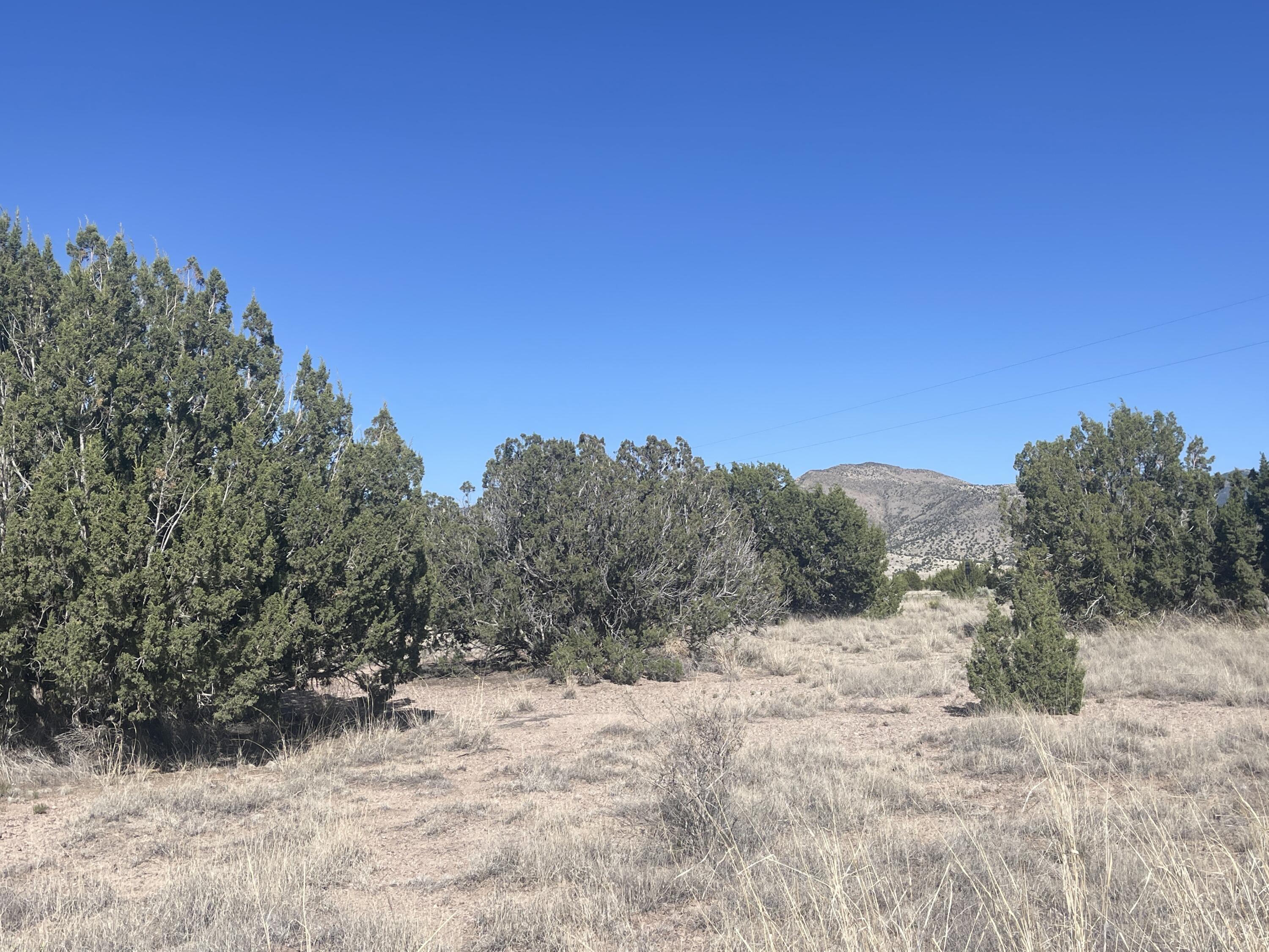 Lot 31 Ranch Estates