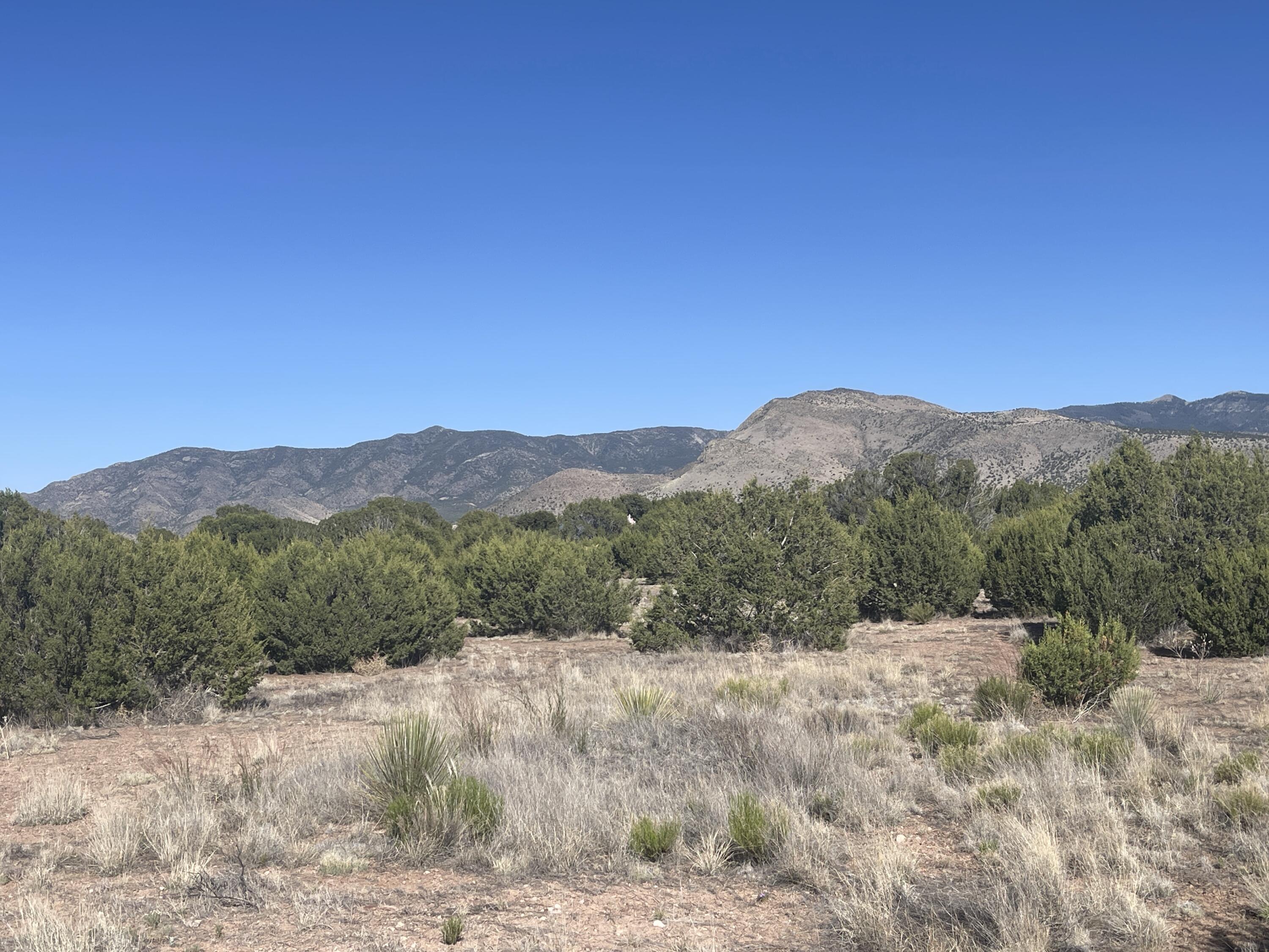 Lot 31 Ranch Estates