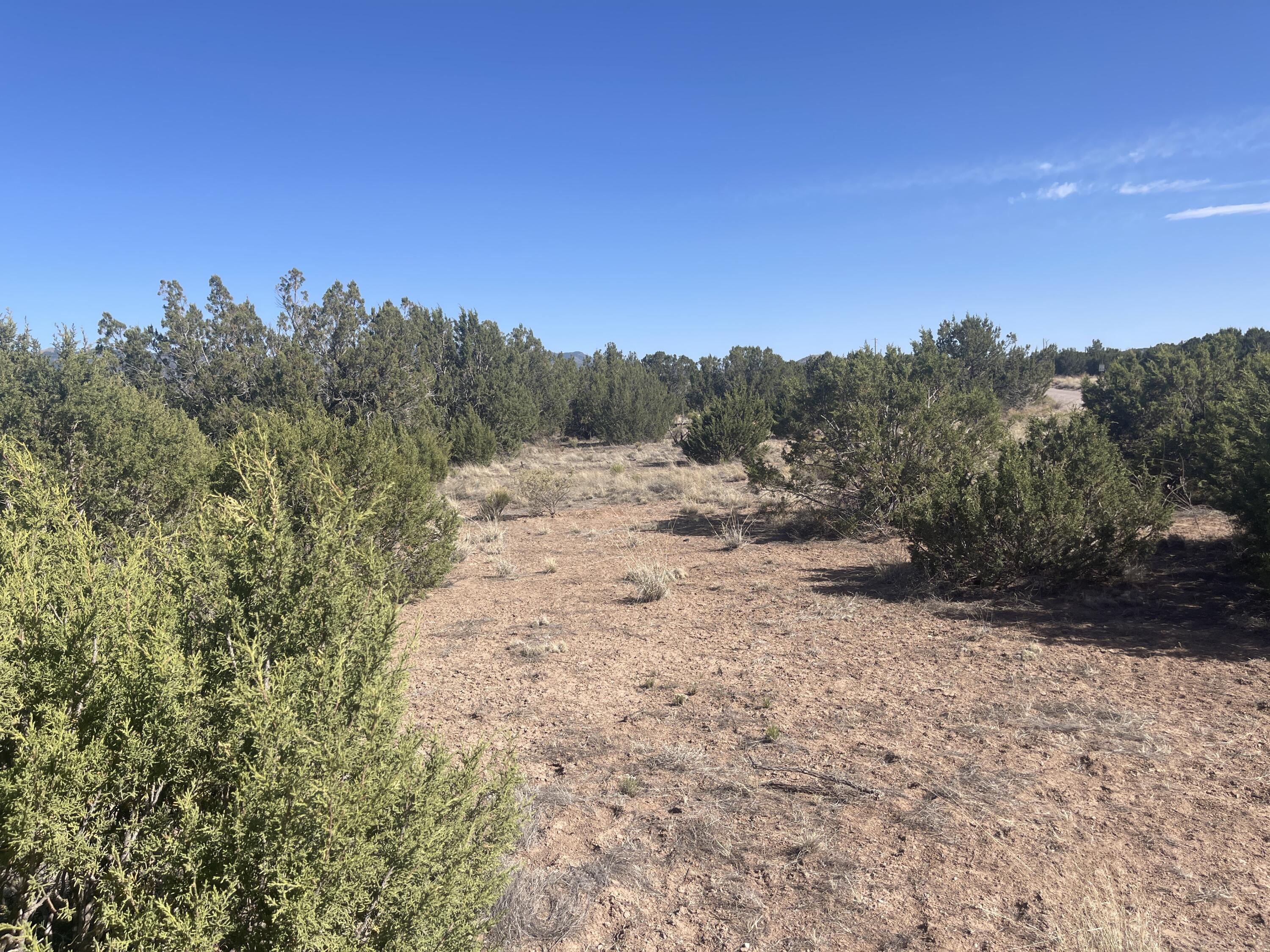 Lot 31 Ranch Estates