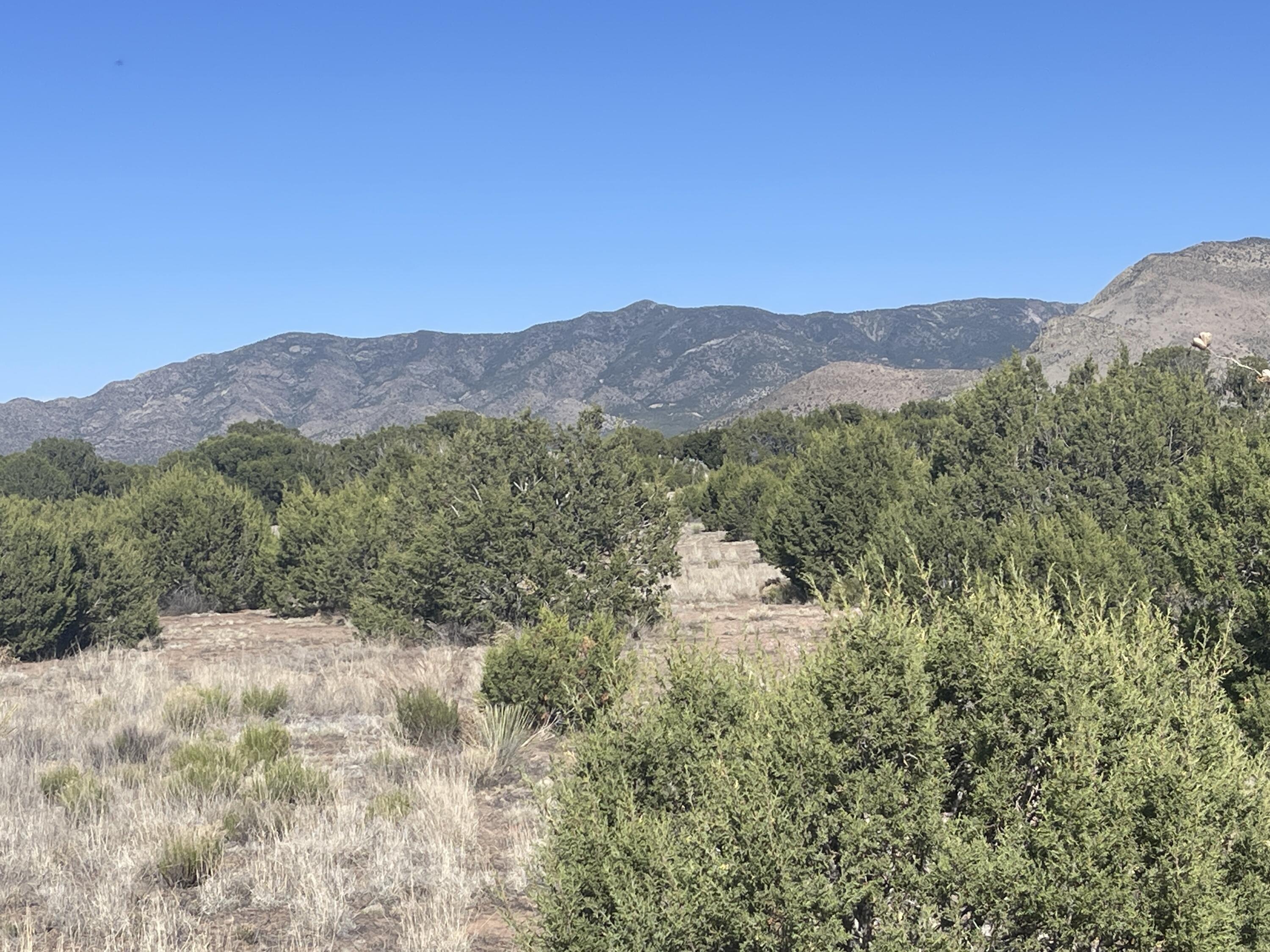 Lot 31 Ranch Estates