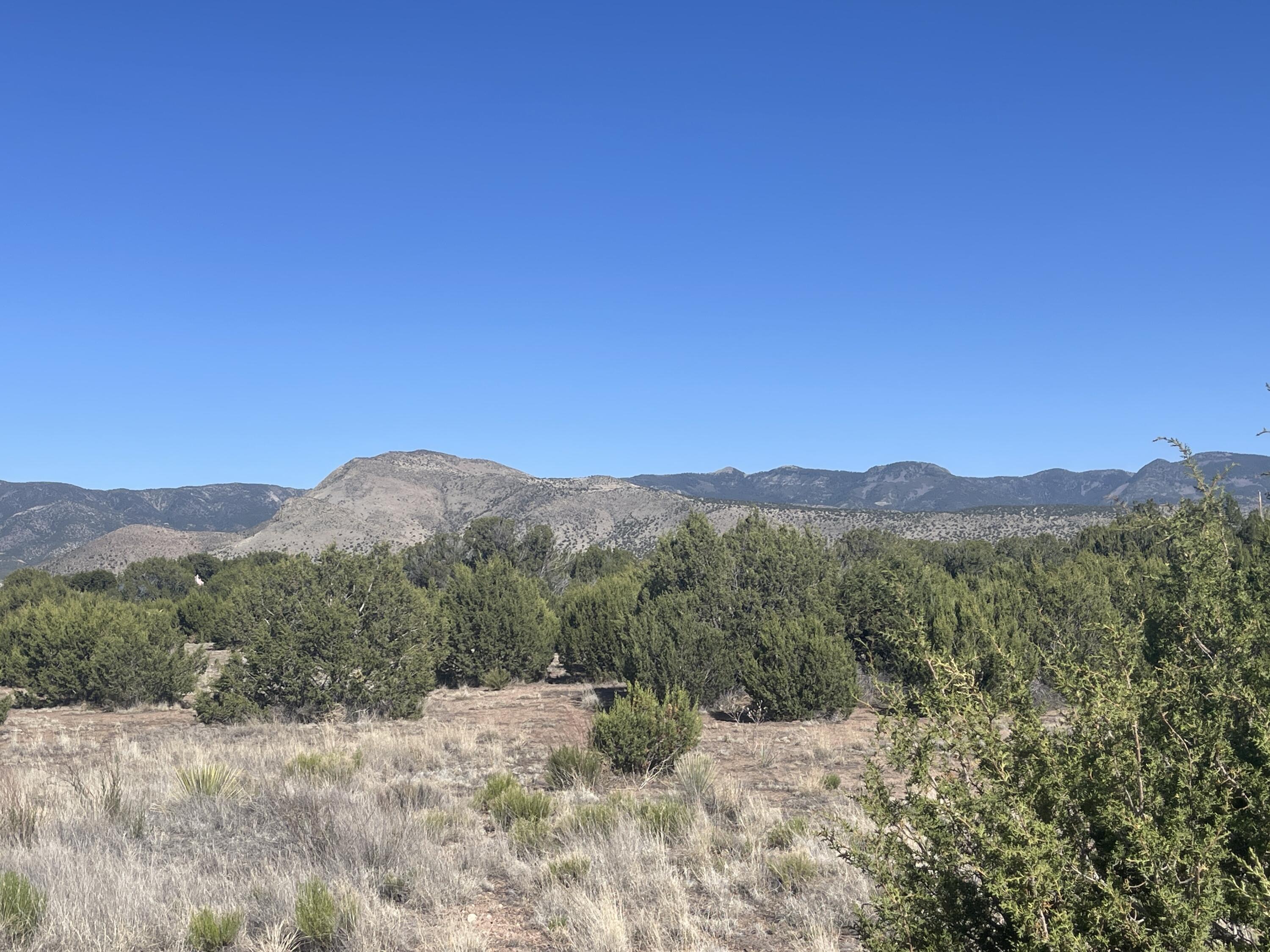 Lot 31 Ranch Estates