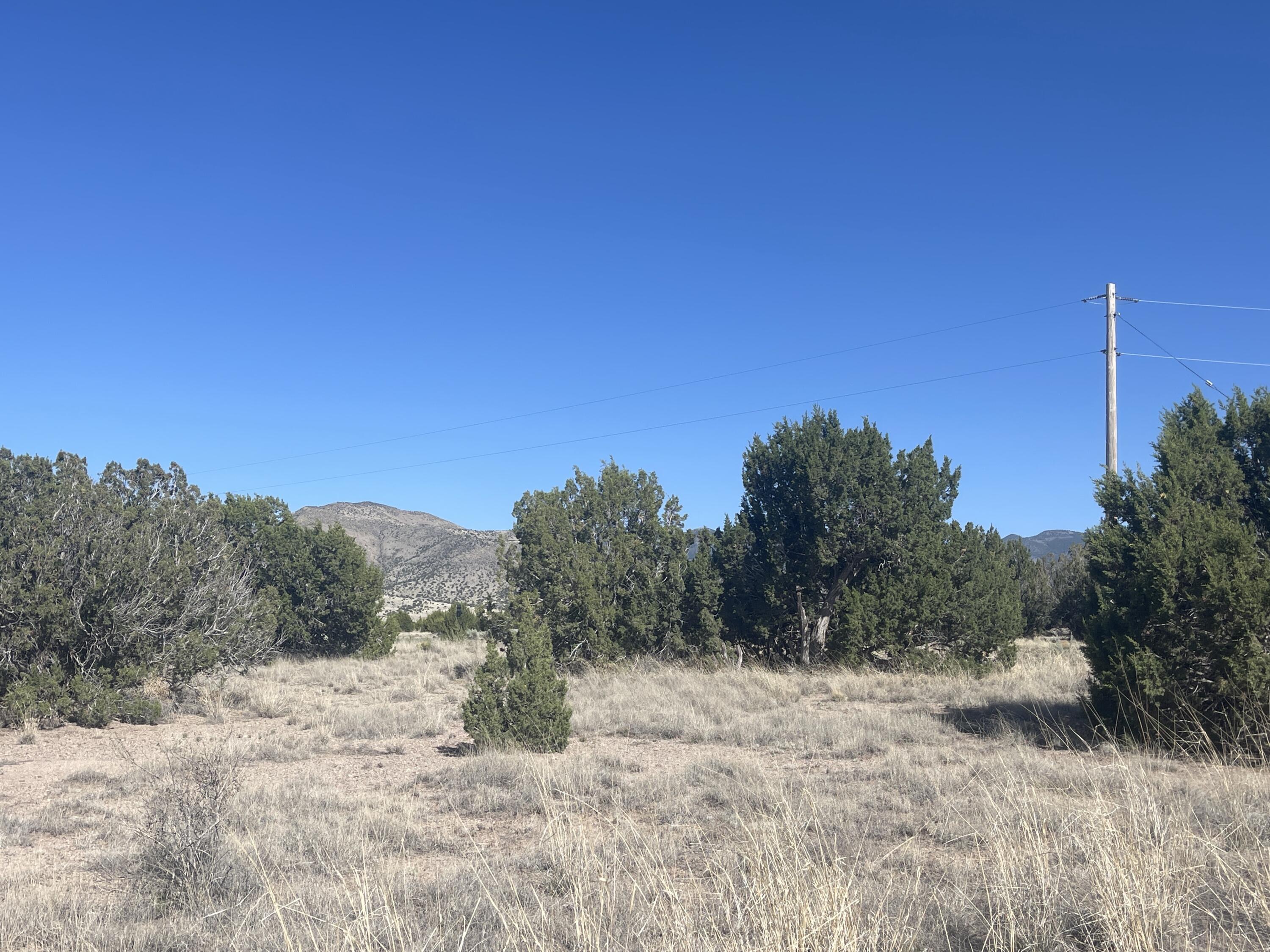 Lot 31 Ranch Estates